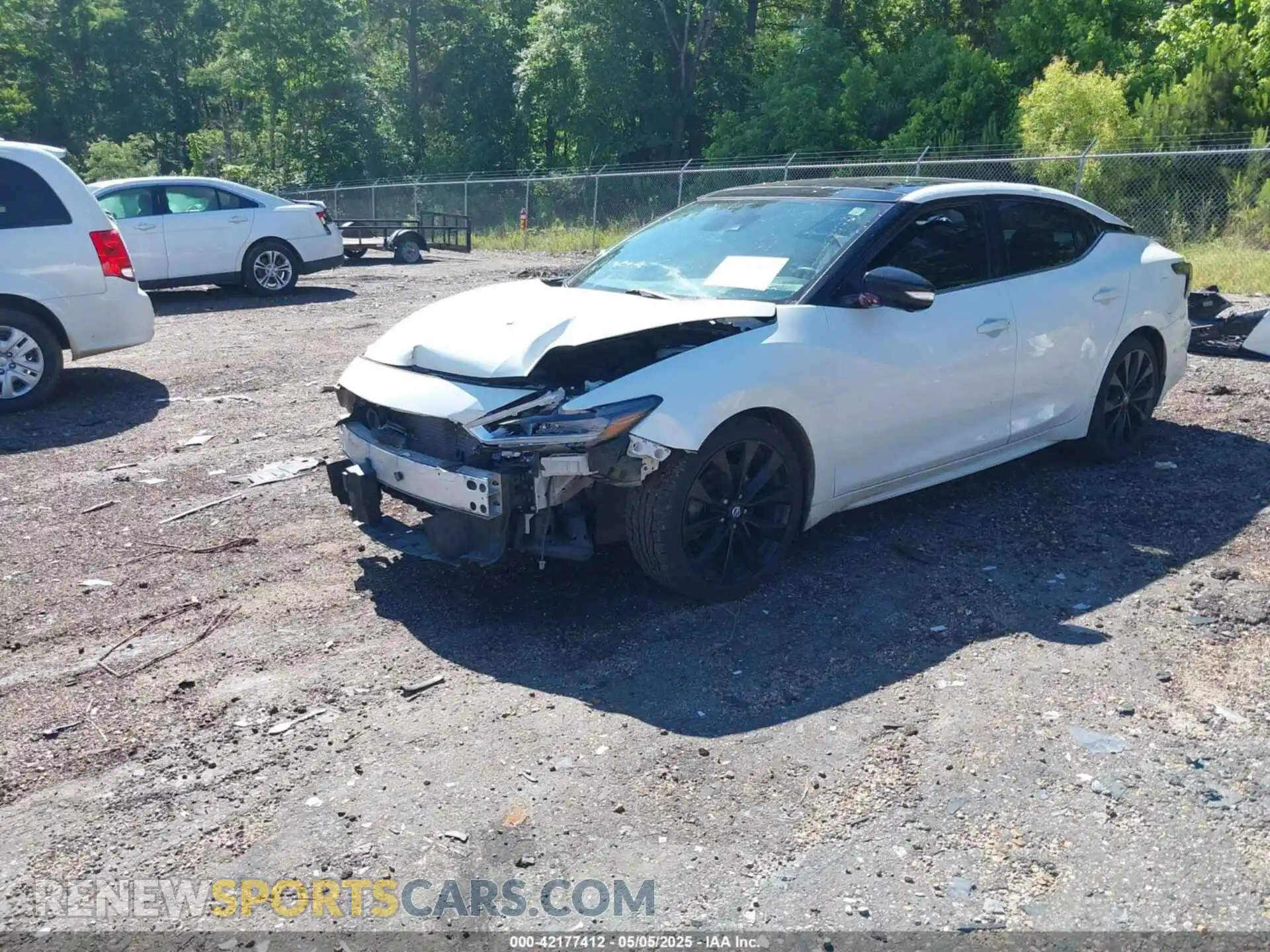 2 Photograph of a damaged car 1N4AA6EV0MC511677 NISSAN MAXIMA 2021