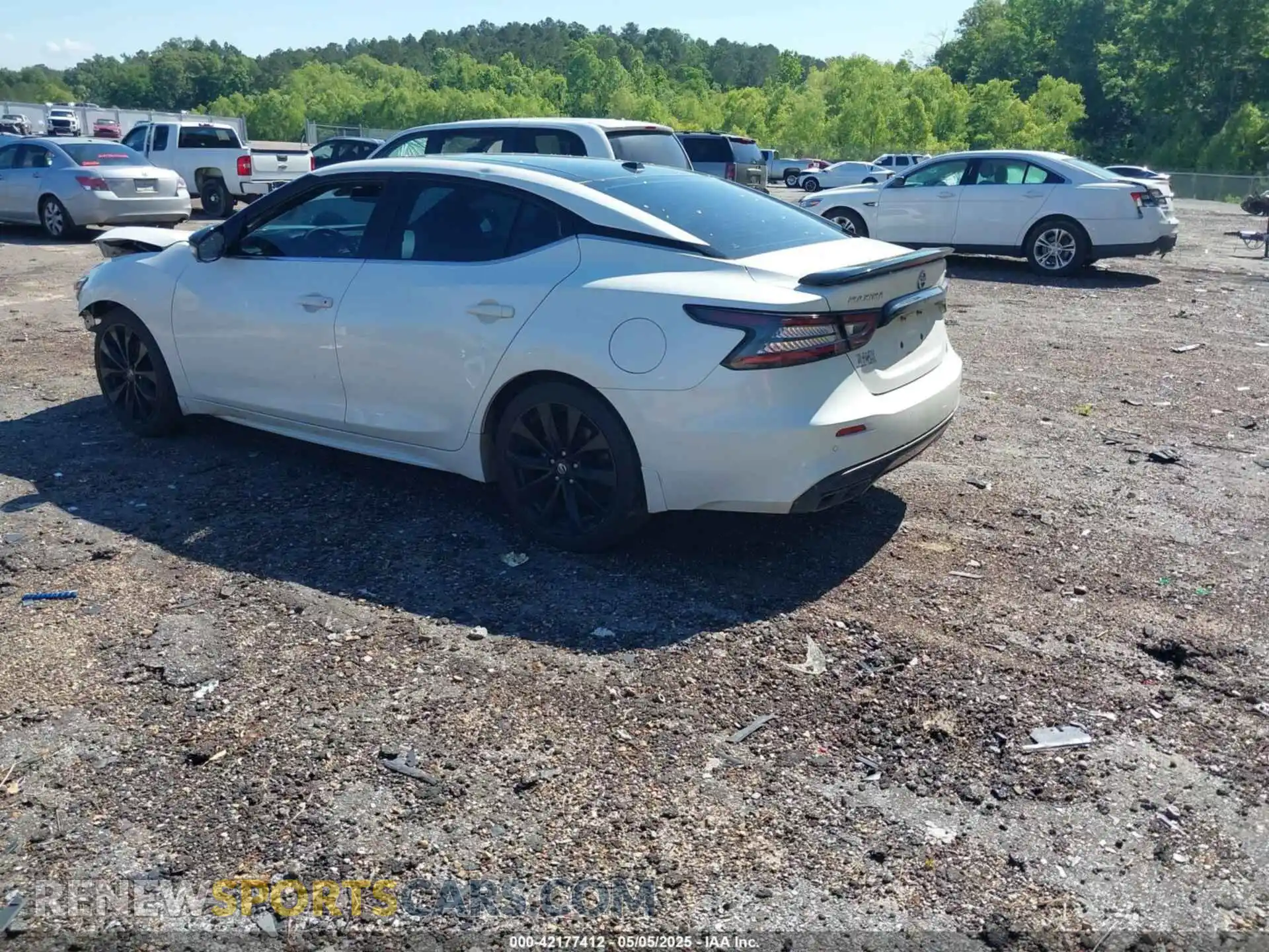 3 Photograph of a damaged car 1N4AA6EV0MC511677 NISSAN MAXIMA 2021