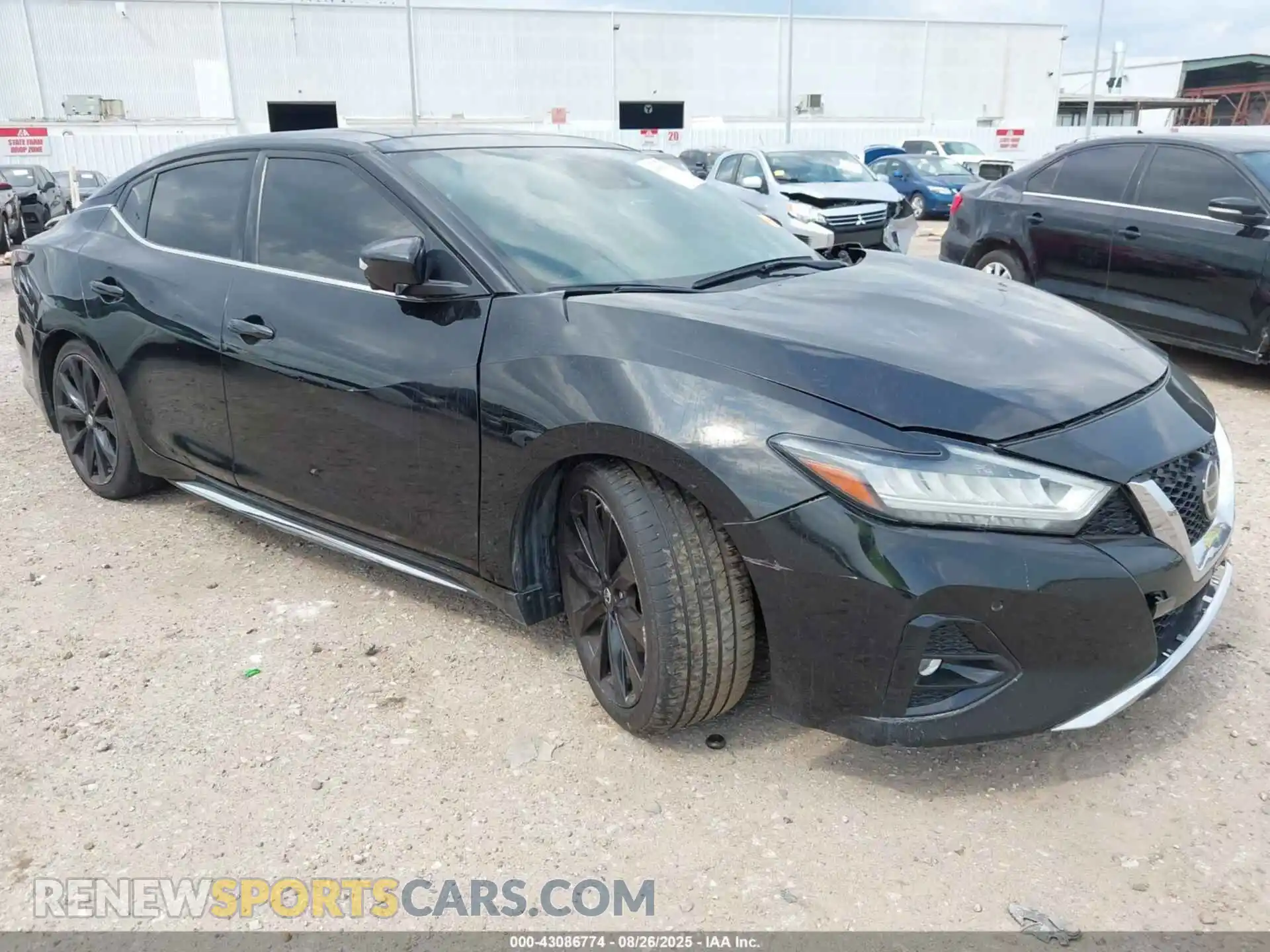1 Photograph of a damaged car 1N4AA6EV0MC512571 NISSAN MAXIMA 2021