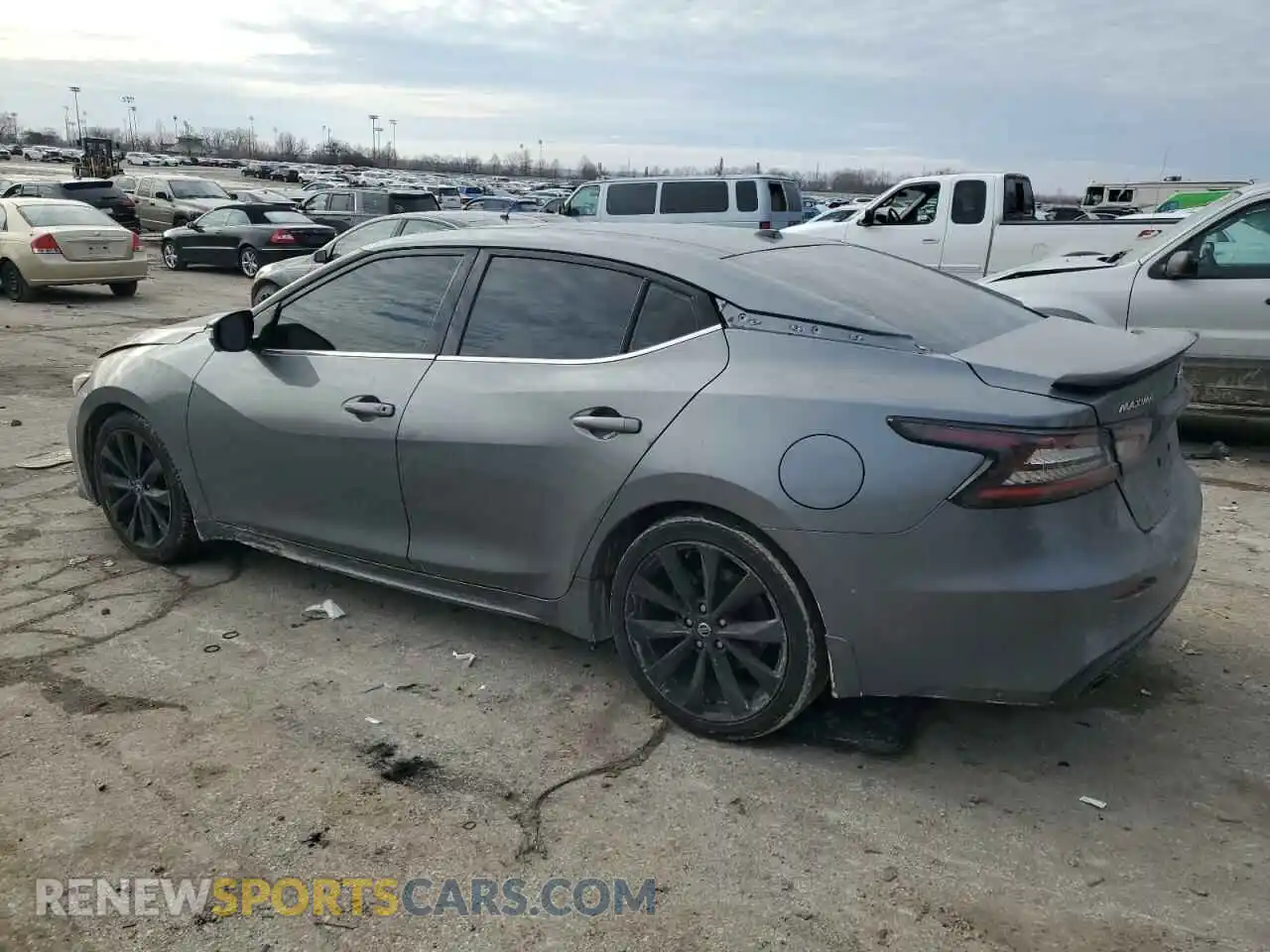 2 Photograph of a damaged car 1N4AA6EV1MC501126 NISSAN MAXIMA 2021