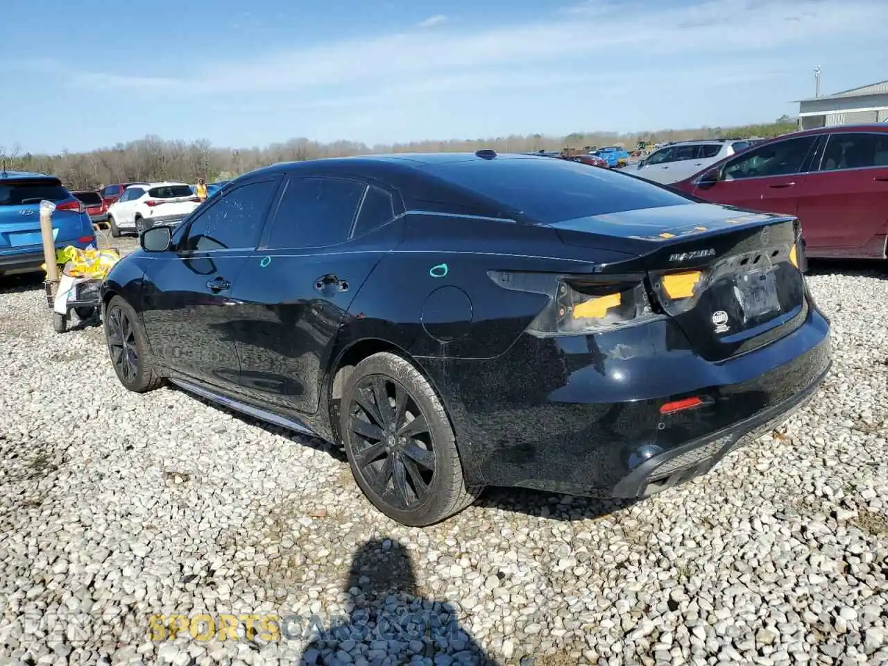 2 Photograph of a damaged car 1N4AA6EV2MC502589 NISSAN MAXIMA 2021