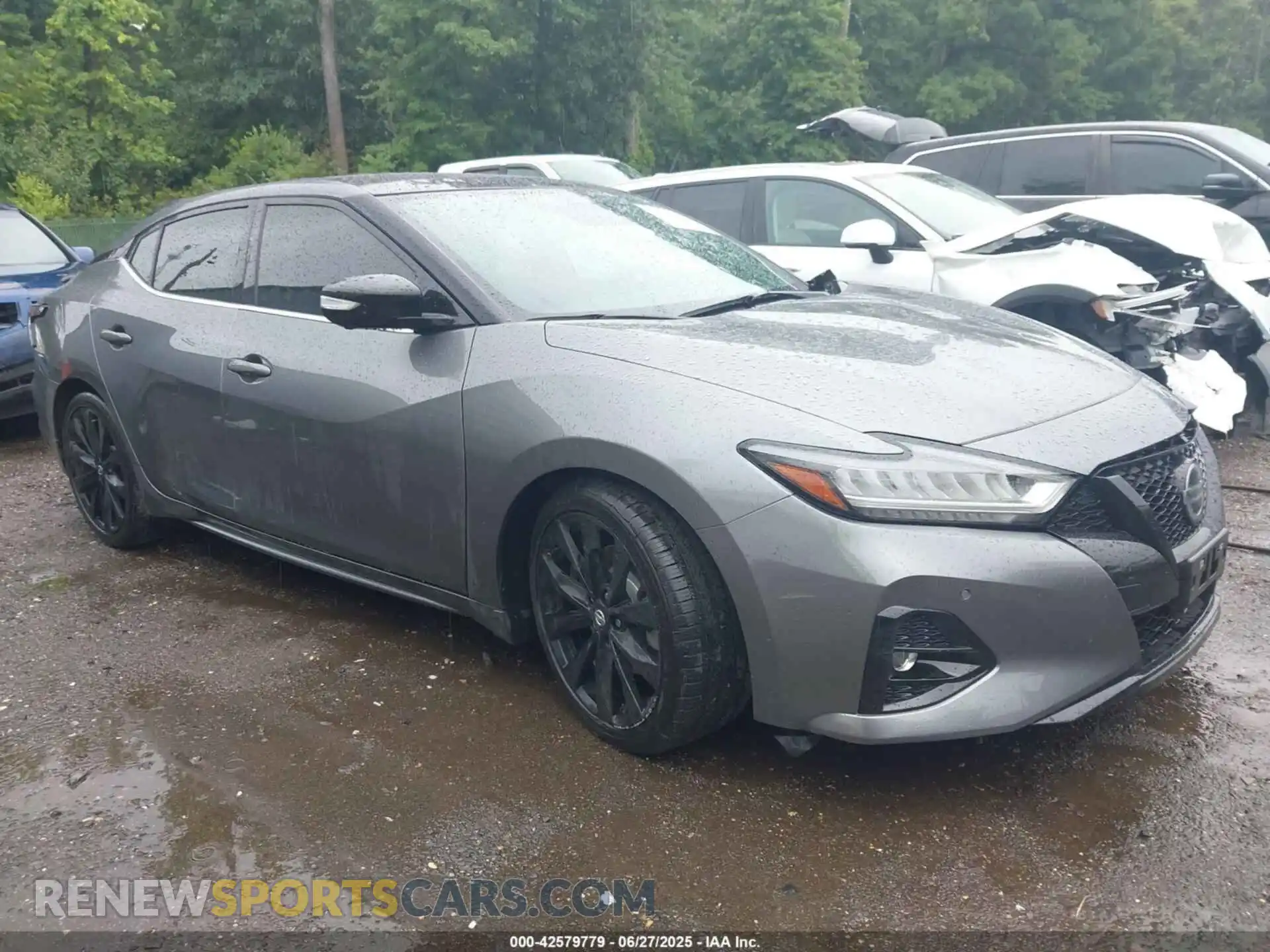 1 Photograph of a damaged car 1N4AA6EV4MC501315 NISSAN MAXIMA 2021