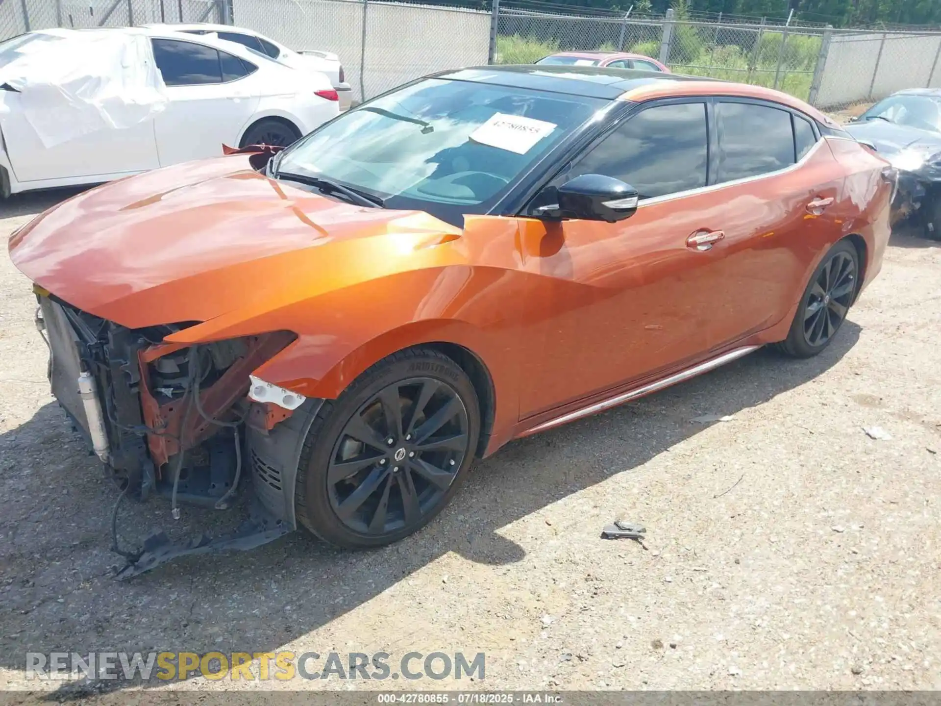 2 Photograph of a damaged car 1N4AA6EV4MC514257 NISSAN MAXIMA 2021