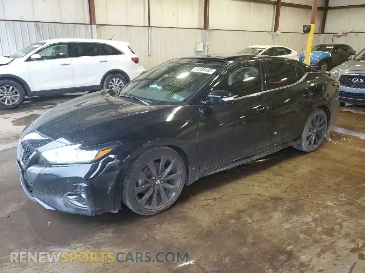 1 Photograph of a damaged car 1N4AA6EV4MC515005 NISSAN MAXIMA 2021