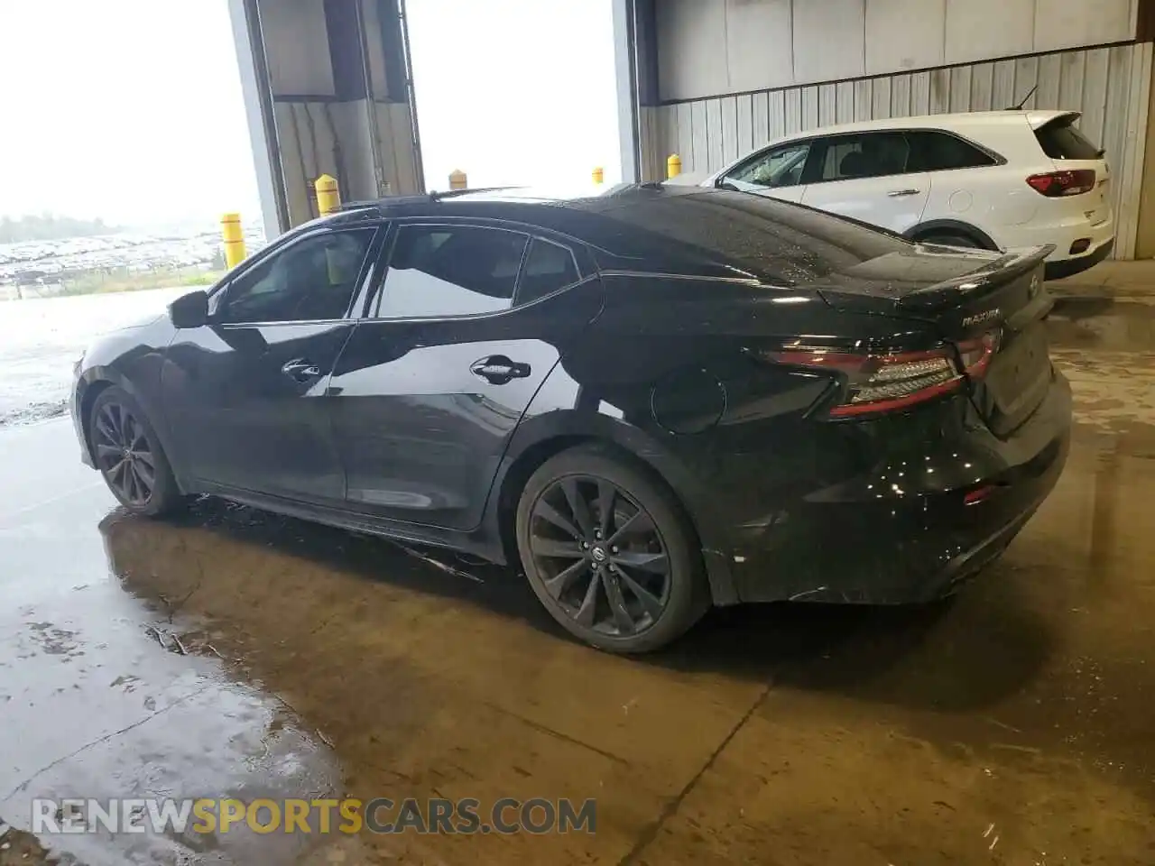 2 Photograph of a damaged car 1N4AA6EV4MC515005 NISSAN MAXIMA 2021
