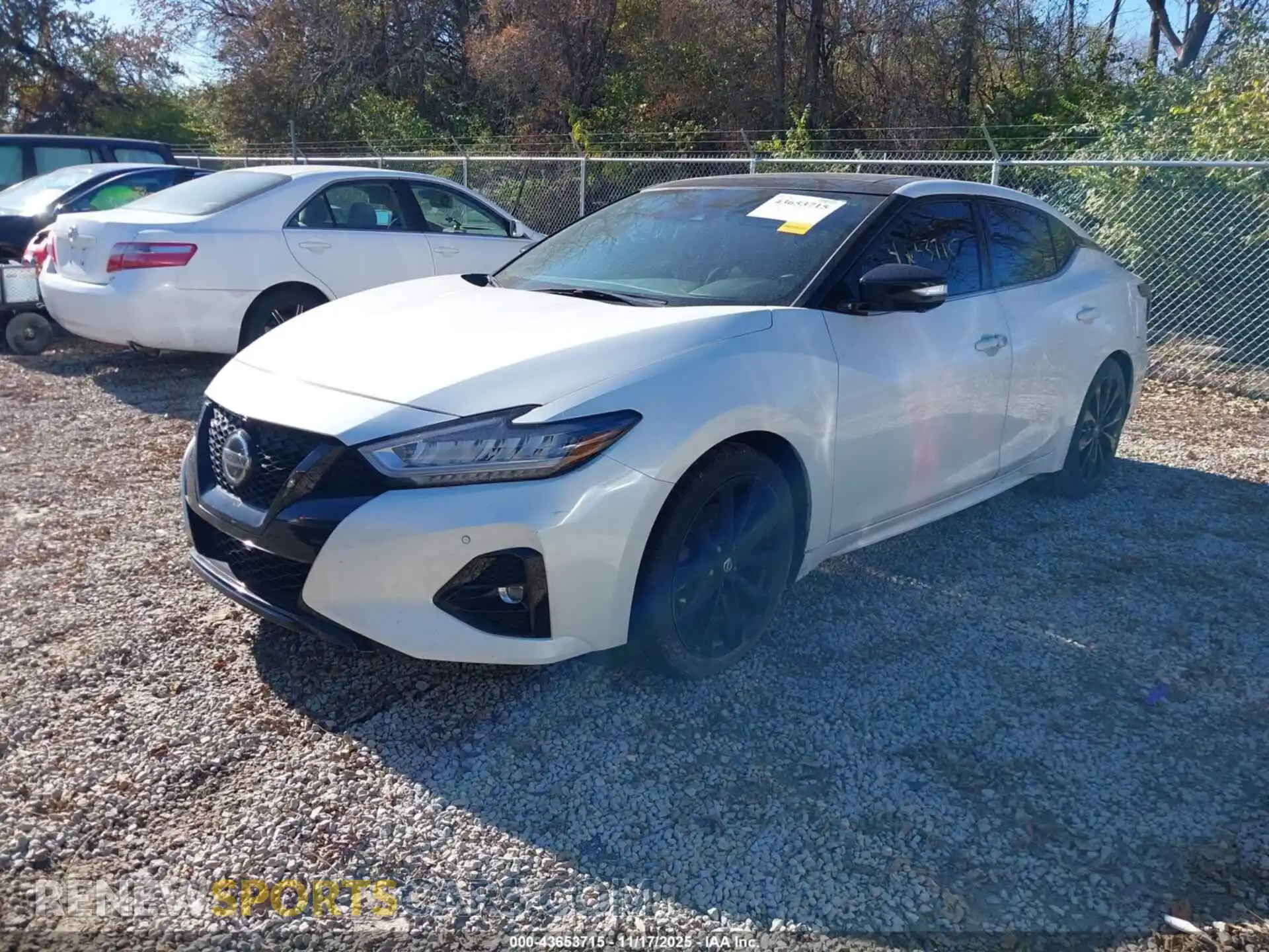 2 Photograph of a damaged car 1N4AA6EV7MC503009 NISSAN MAXIMA 2021