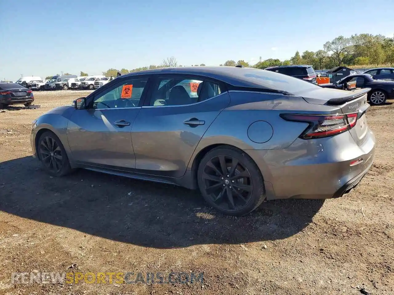 2 Photograph of a damaged car 1N4AA6EVXMC501190 NISSAN MAXIMA 2021