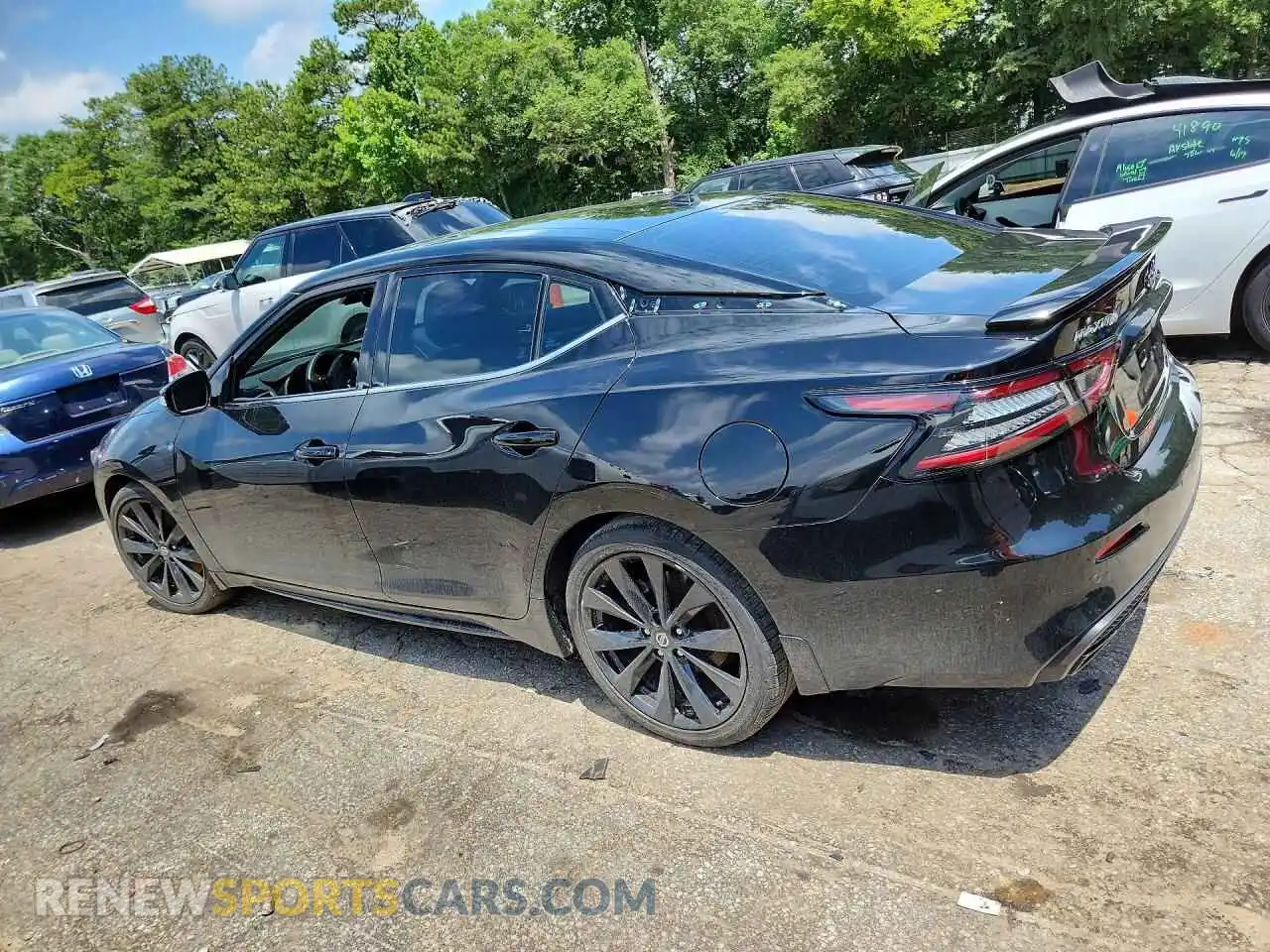2 Photograph of a damaged car 1N4AA6EVXMC501674 NISSAN MAXIMA 2021