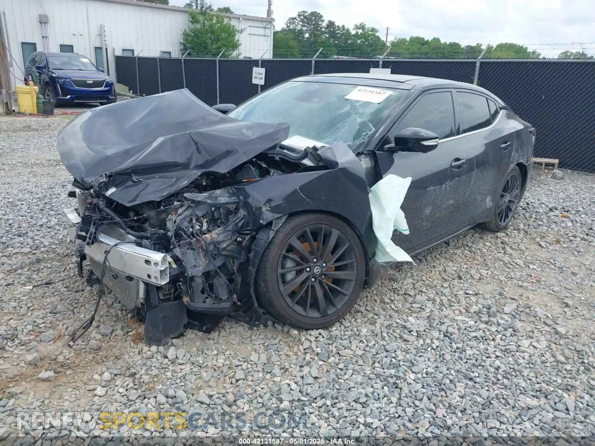 2 Photograph of a damaged car 1N4AA6FV1MC502937 NISSAN MAXIMA 2021