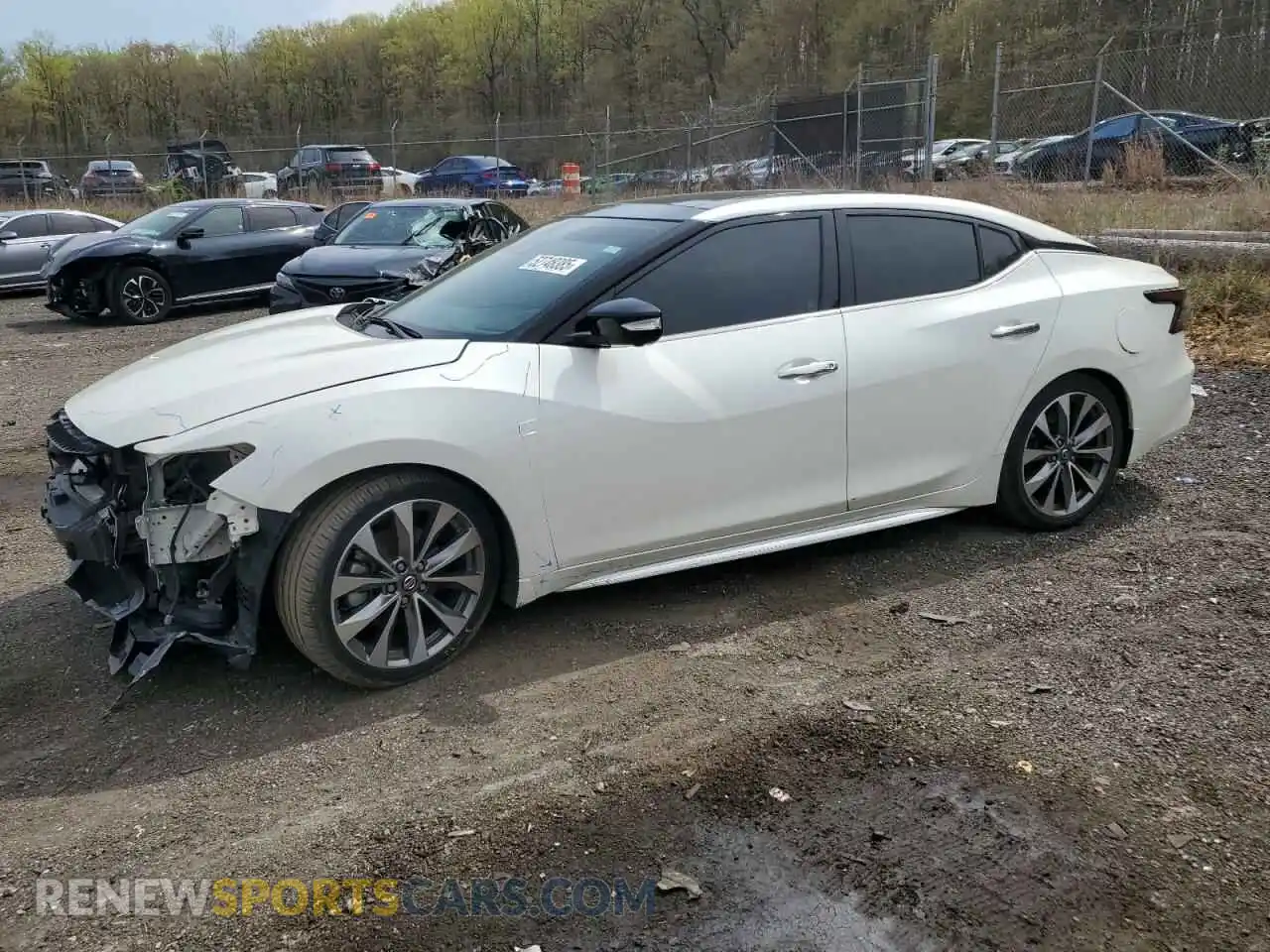 1 Фотография поврежденного автомобиля 1N4AA6FV2MC516393 NISSAN MAXIMA 2021