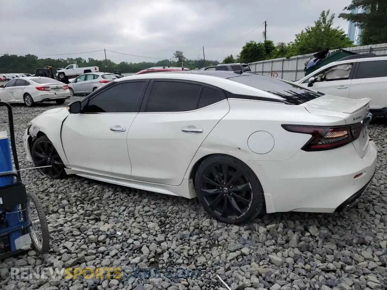 2 Photograph of a damaged car 1N4AA6FV3MC509033 NISSAN MAXIMA 2021