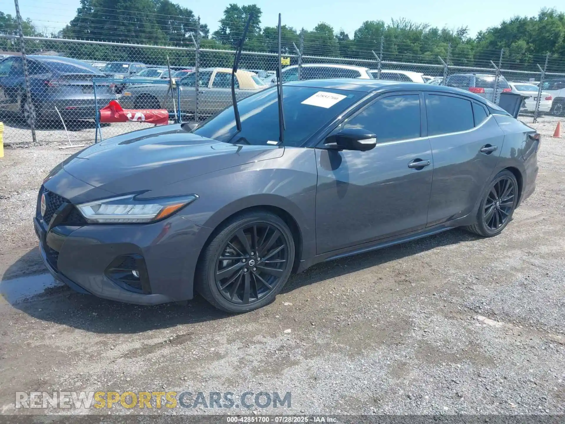 2 Photograph of a damaged car 1N4AA6FV5MC510295 NISSAN MAXIMA 2021