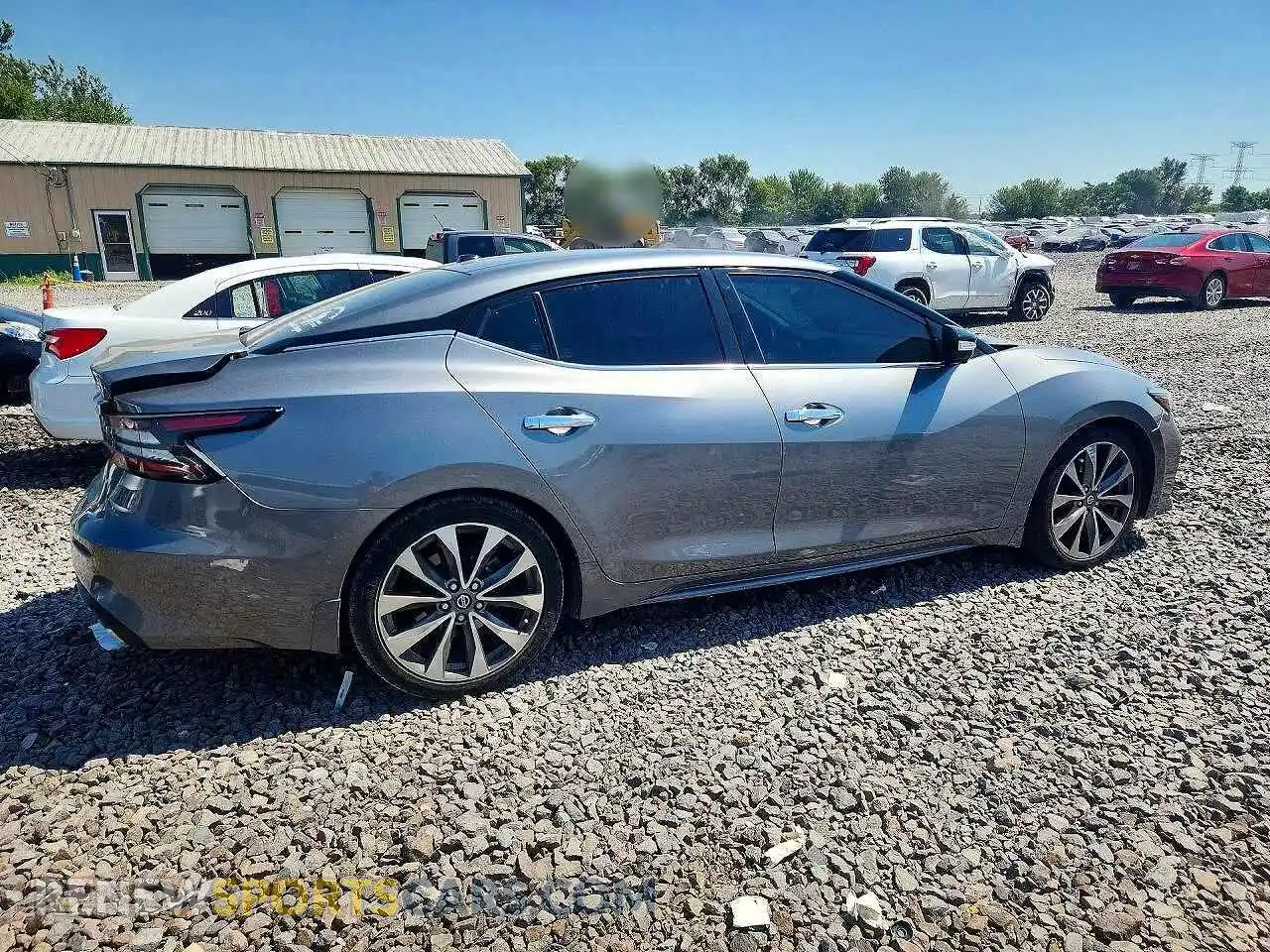 3 Photograph of a damaged car 1N4AA6FV8MC505320 NISSAN MAXIMA 2021