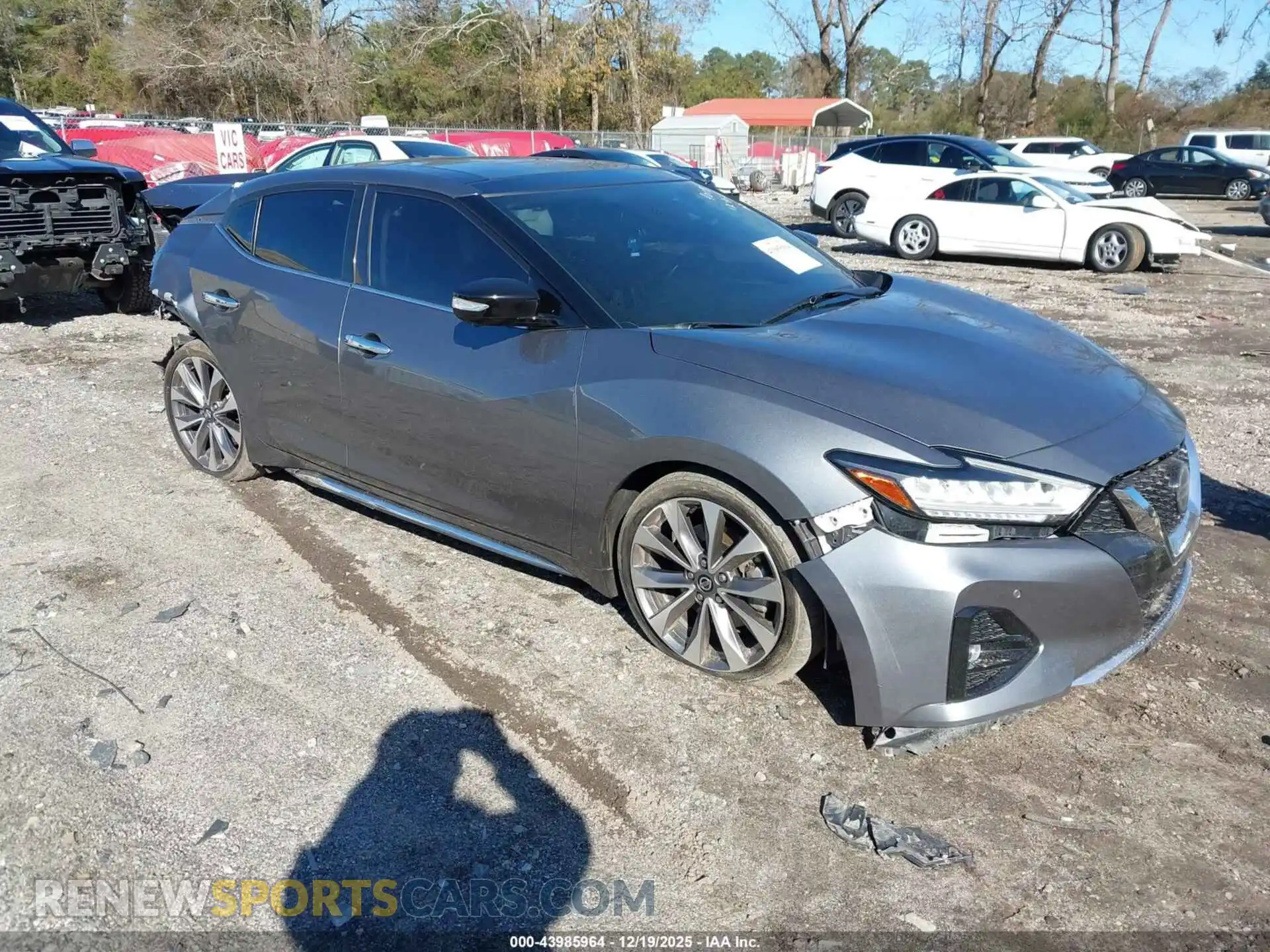 1 Фотография поврежденного автомобиля 1N4AA6FV9MC509019 NISSAN MAXIMA 2021