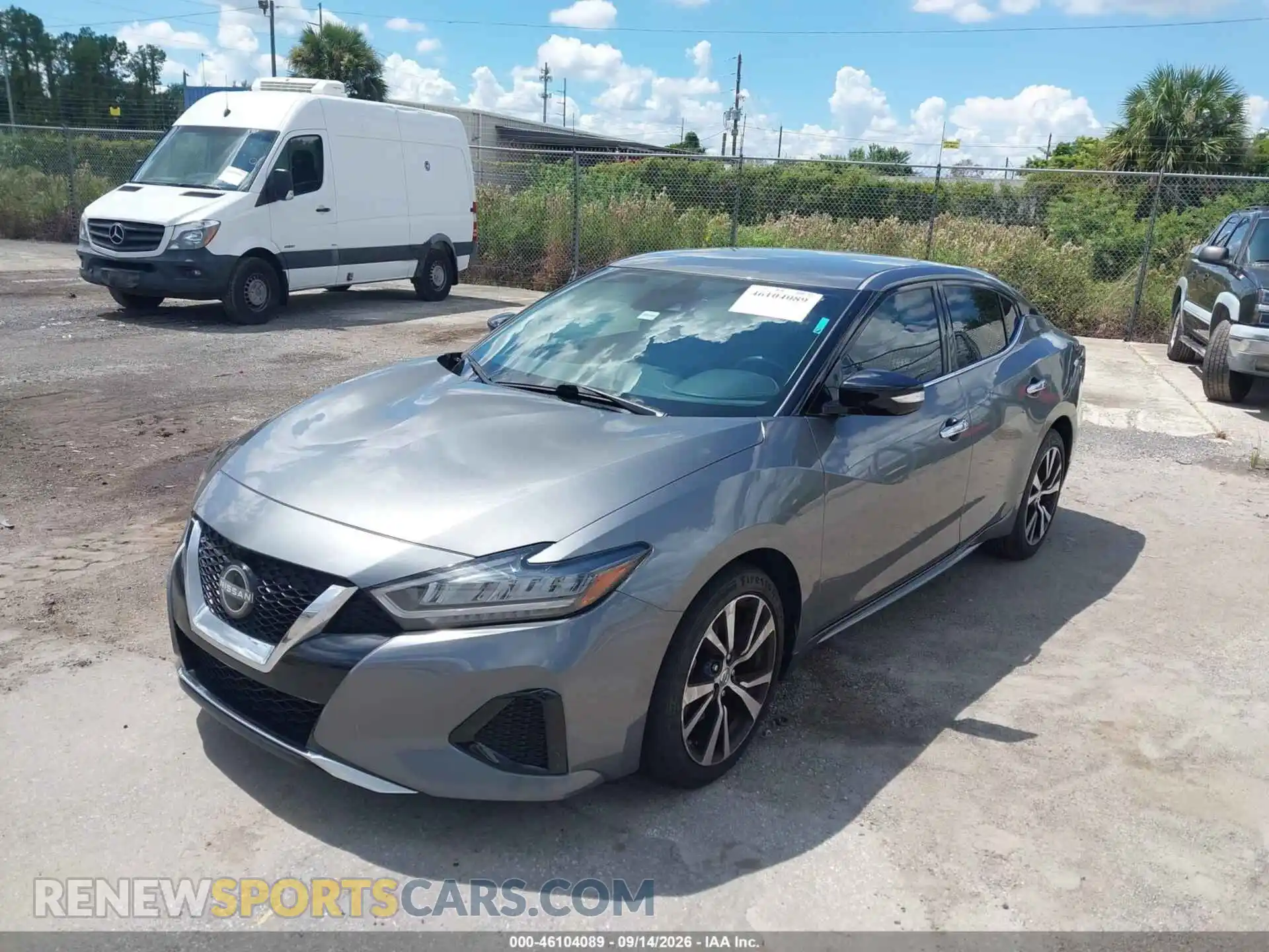 2 Photograph of a damaged car 1N4AA6CV3PC506223 NISSAN MAXIMA 2023