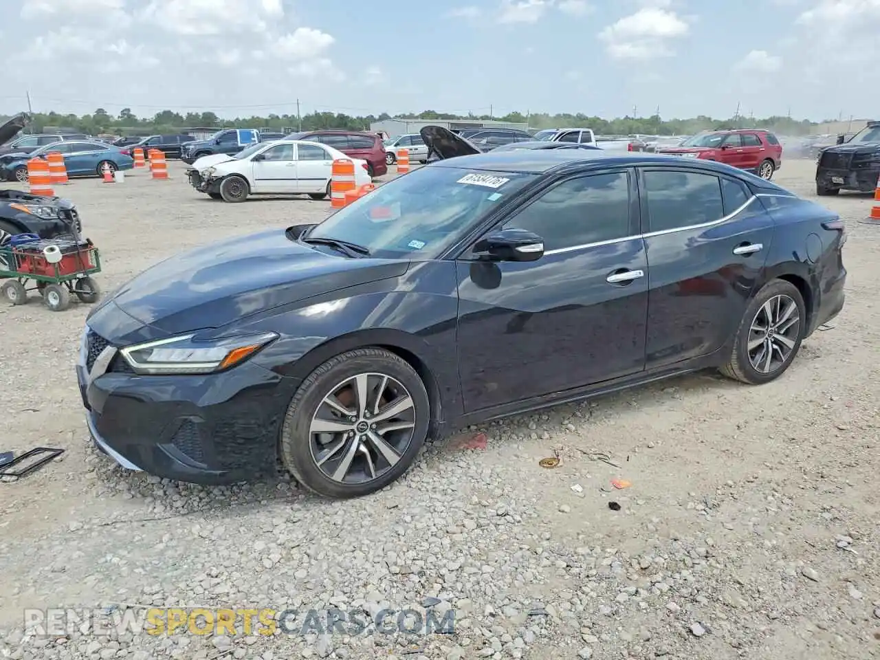 1 fotografías del automóvil dañado 1N4AA6CV4PC506330 NISSAN MAXIMA 2023