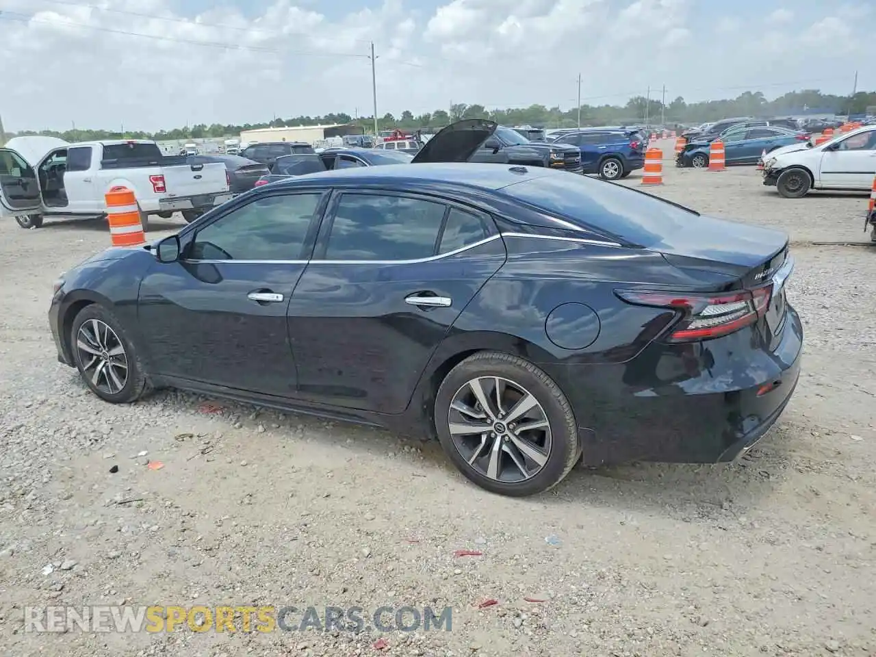 2 fotografías del automóvil dañado 1N4AA6CV4PC506330 NISSAN MAXIMA 2023