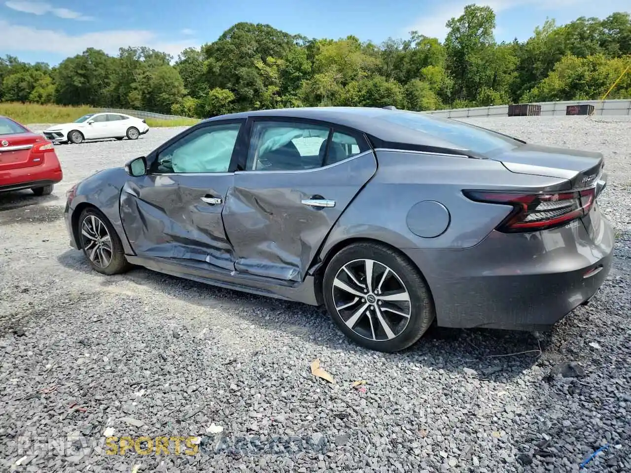 2 Photograph of a damaged car 1N4AA6CV5PC509902 NISSAN MAXIMA 2023