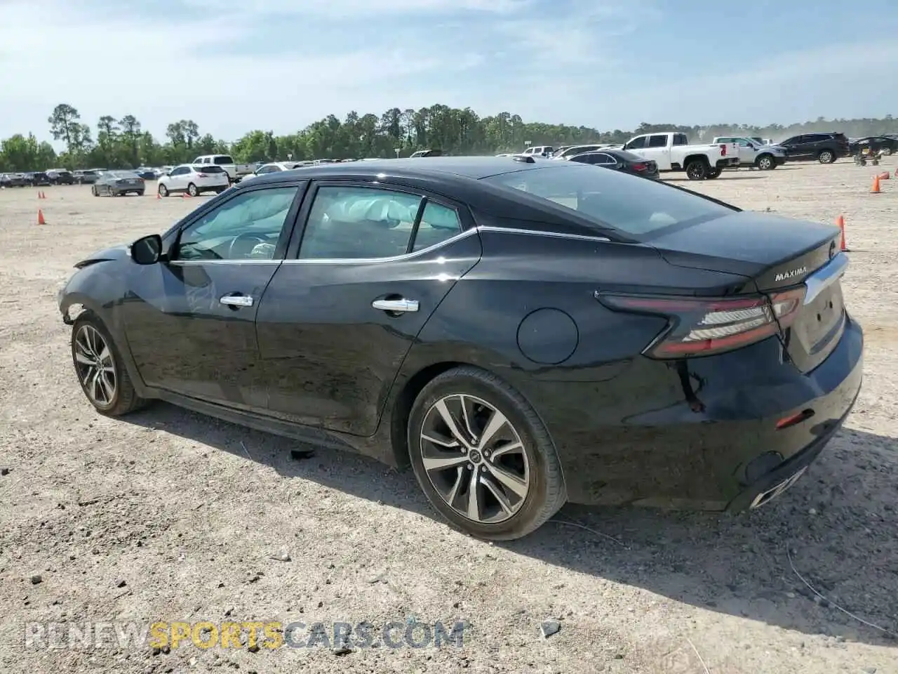 2 Photograph of a damaged car 1N4AA6CV5PC511116 NISSAN MAXIMA 2023
