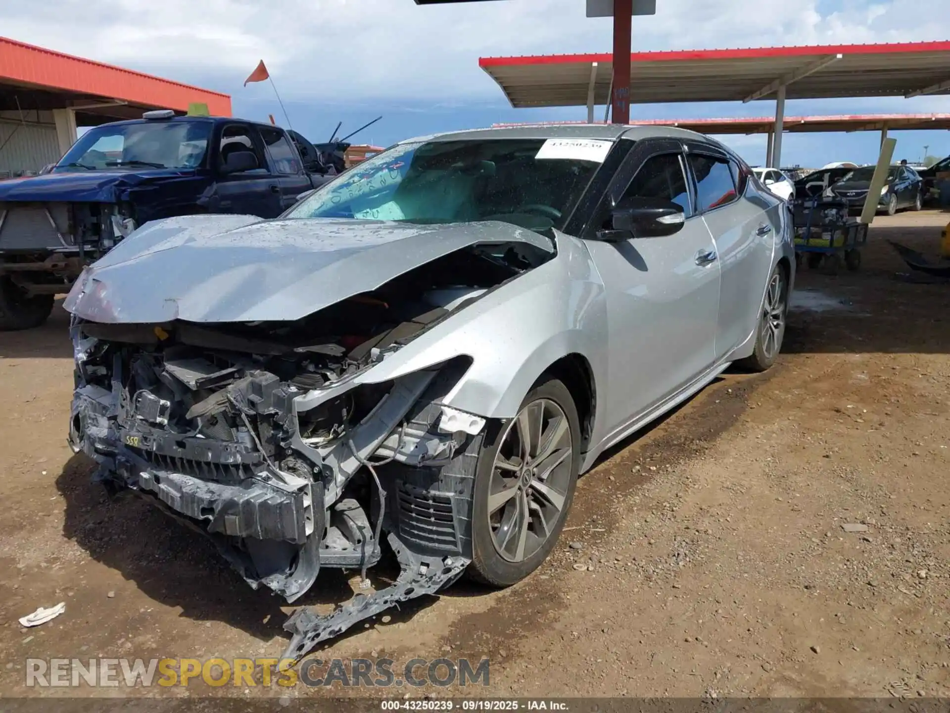 2 Photograph of a damaged car 1N4AA6CV6PC510024 NISSAN MAXIMA 2023
