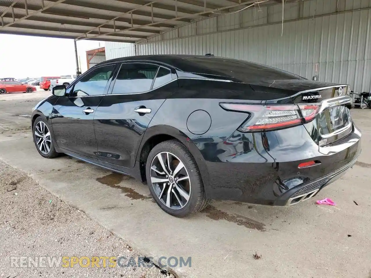 2 Photograph of a damaged car 1N4AA6CV8PC508985 NISSAN MAXIMA 2023