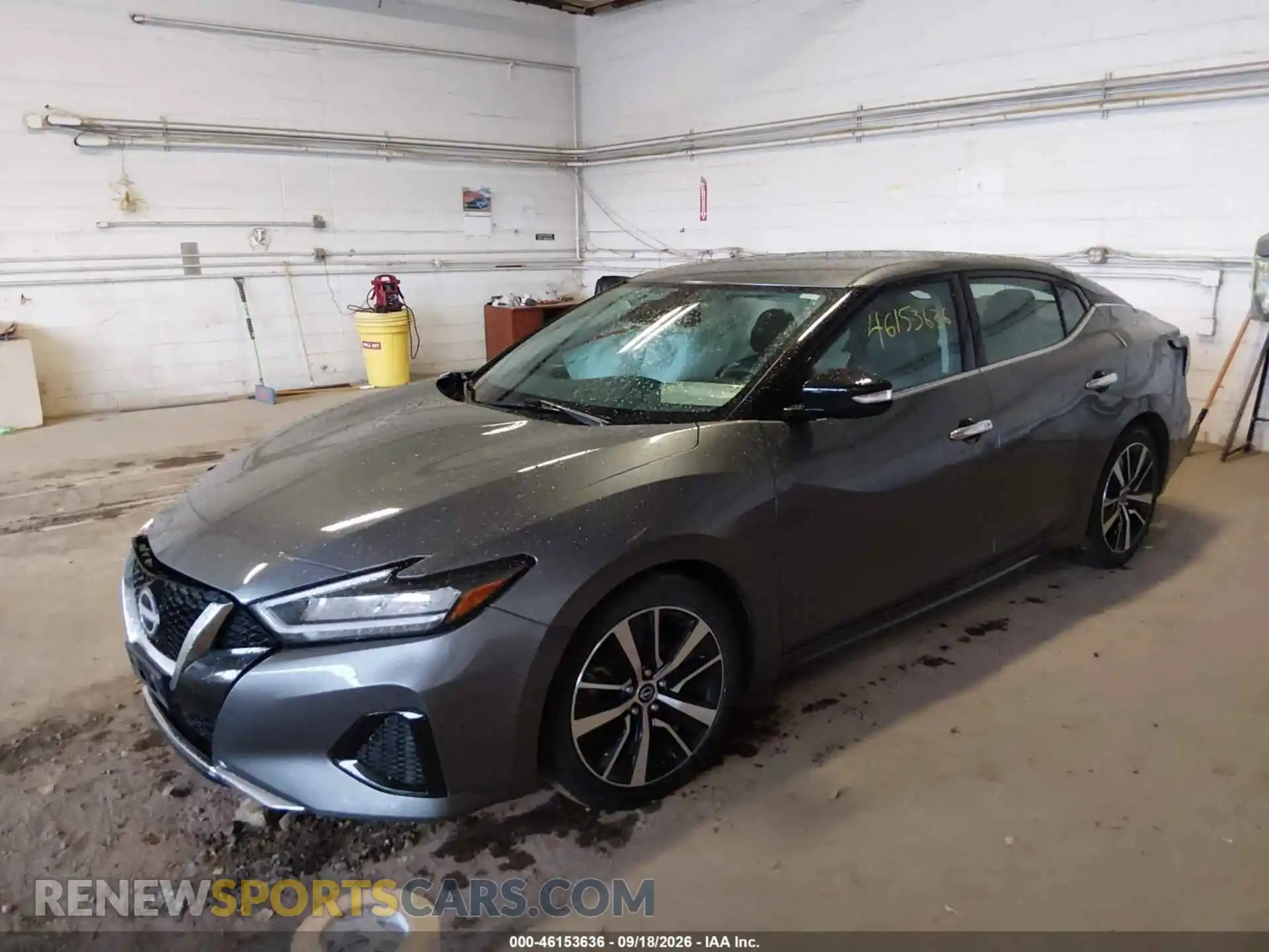 2 Photograph of a damaged car 1N4AA6CV9PC512575 NISSAN MAXIMA 2023