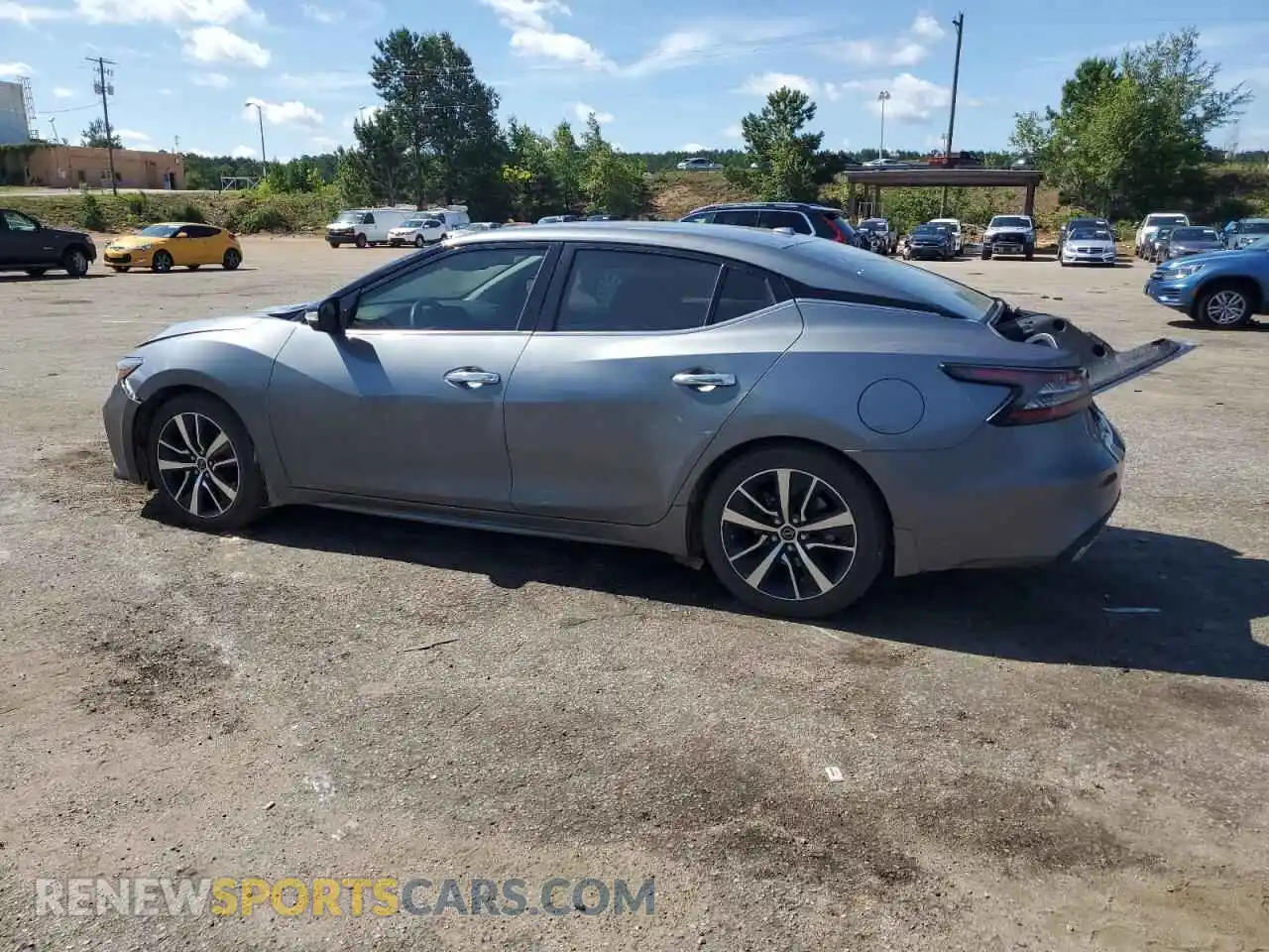 2 Photograph of a damaged car 1N4AA6CV9PC512754 NISSAN MAXIMA 2023