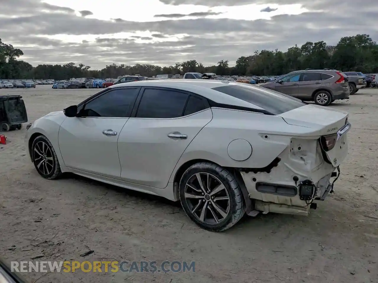 2 fotografías del automóvil dañado 1N4AA6CVXPC503626 NISSAN MAXIMA 2023