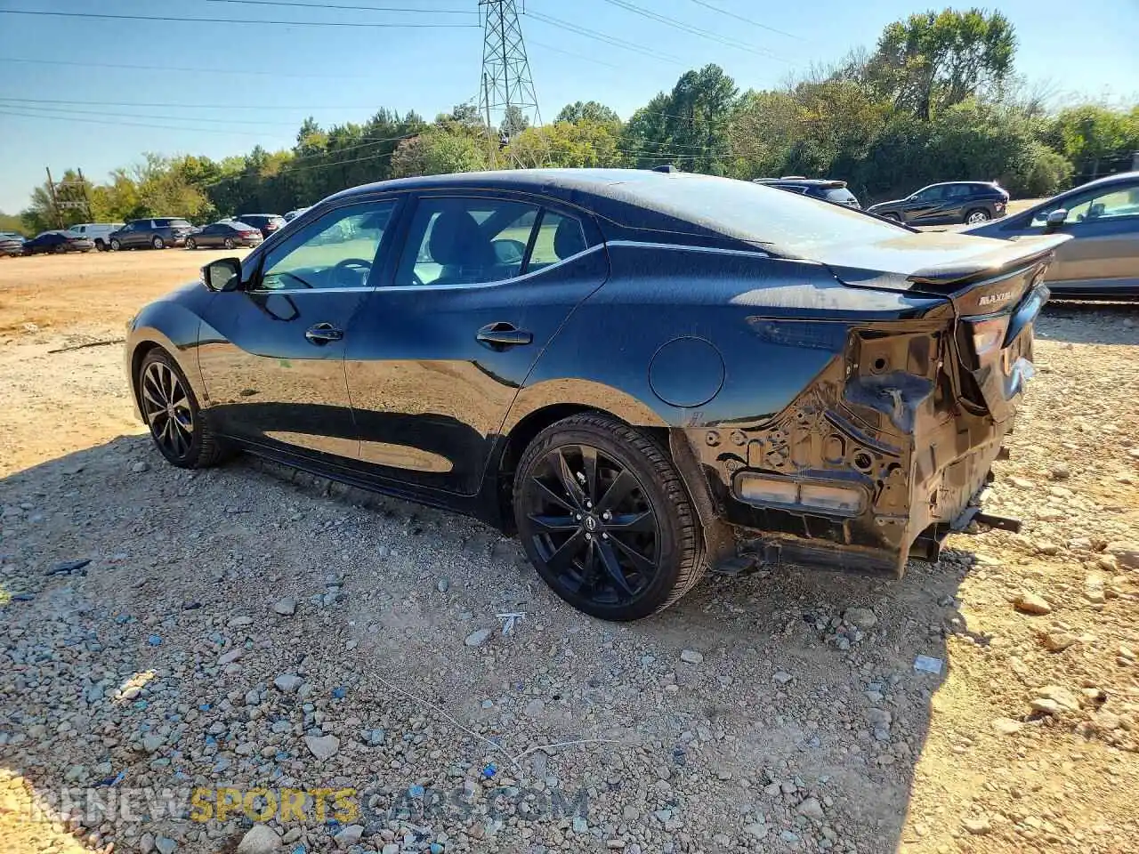 2 Photograph of a damaged car 1N4AA6EV3PC501214 NISSAN MAXIMA 2023