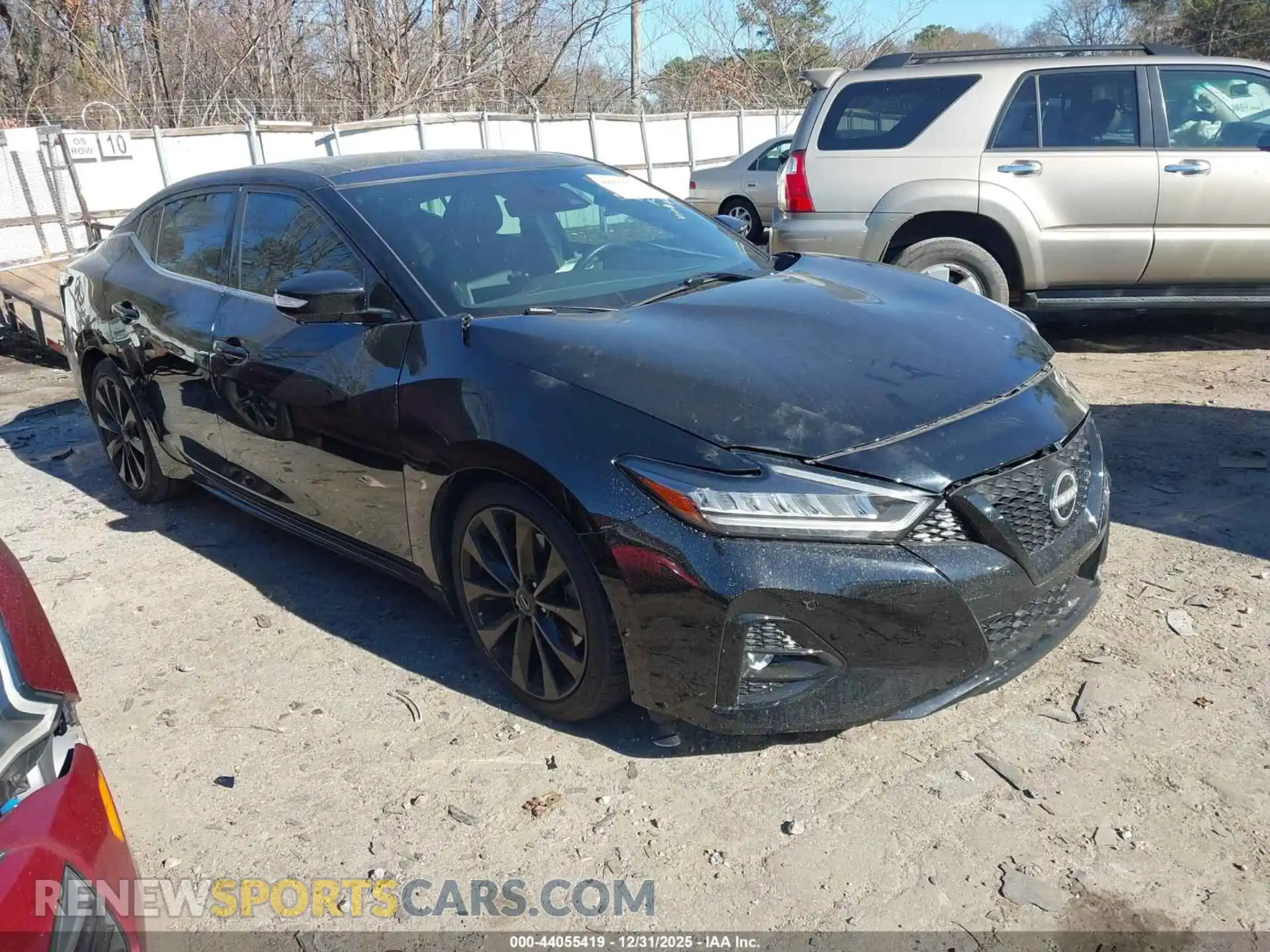 1 fotografías del automóvil dañado 1N4AA6EV8PC514086 NISSAN MAXIMA 2023