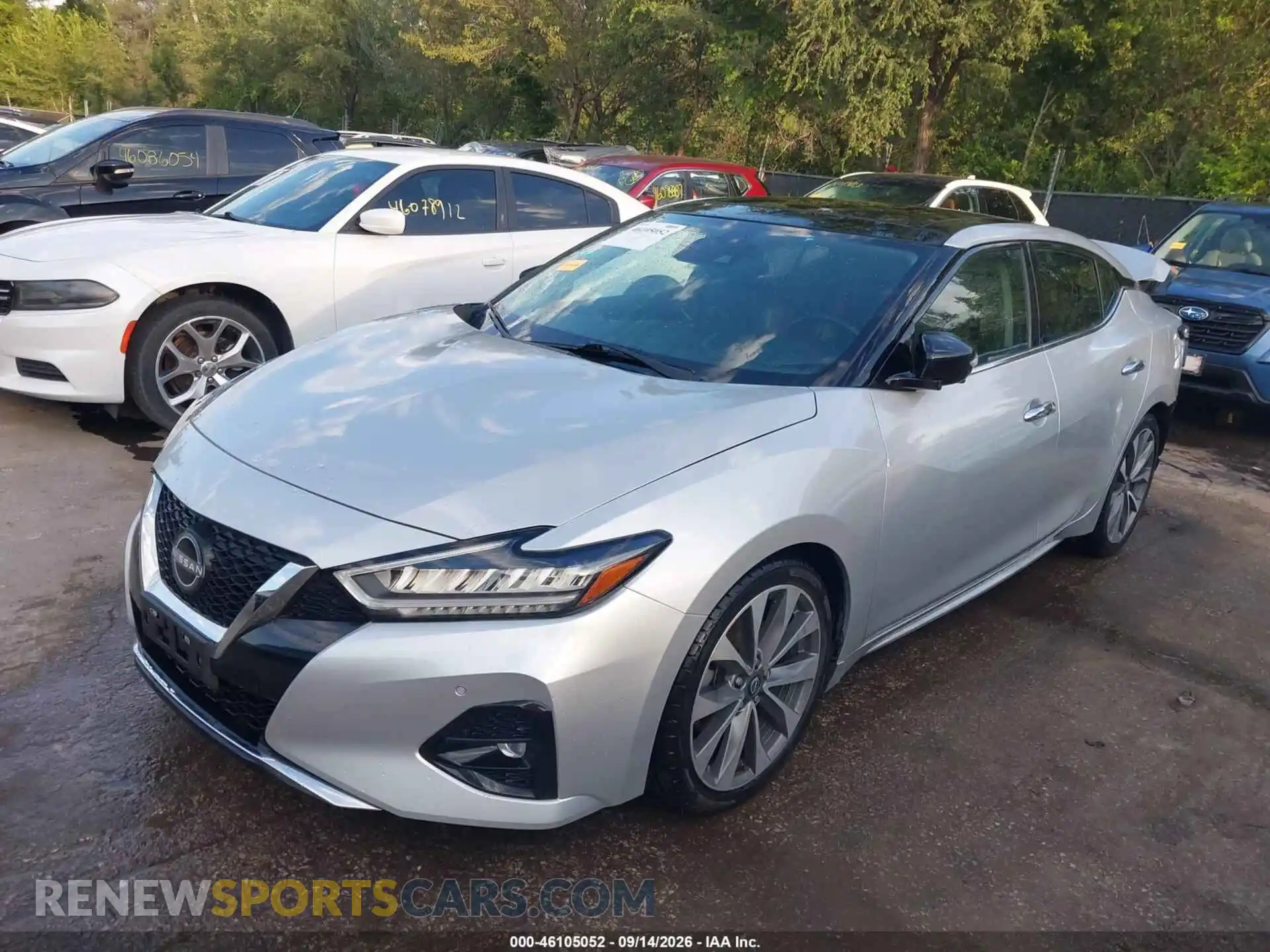 2 Фотография поврежденного автомобиля 1N4AA6FV2PC501770 NISSAN MAXIMA 2023