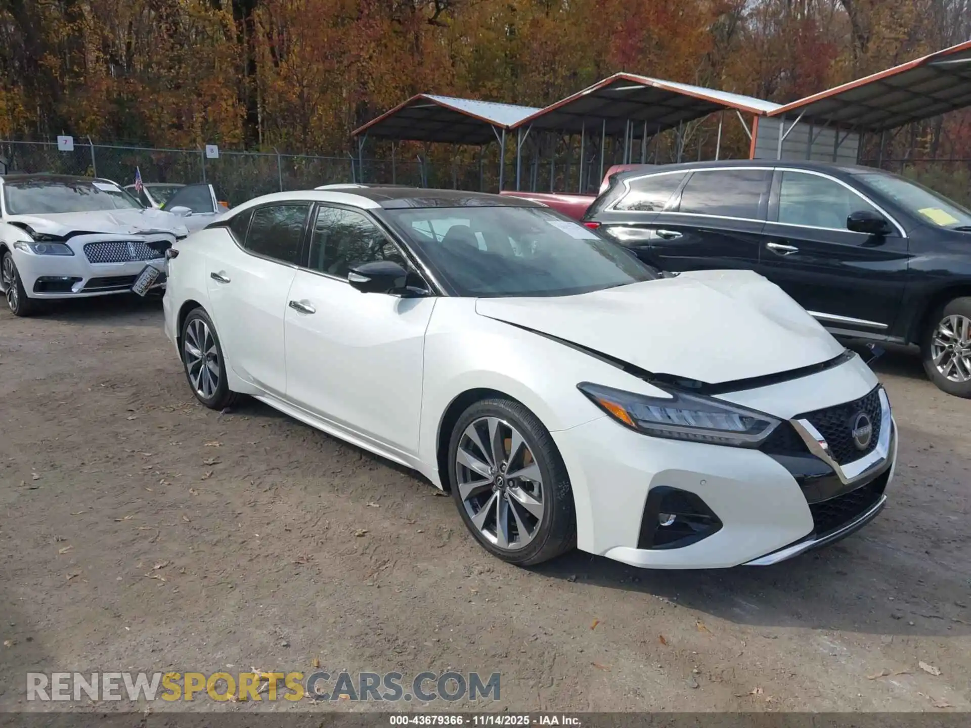 1 Photograph of a damaged car 1N4AA6FV2PC502563 NISSAN MAXIMA 2023