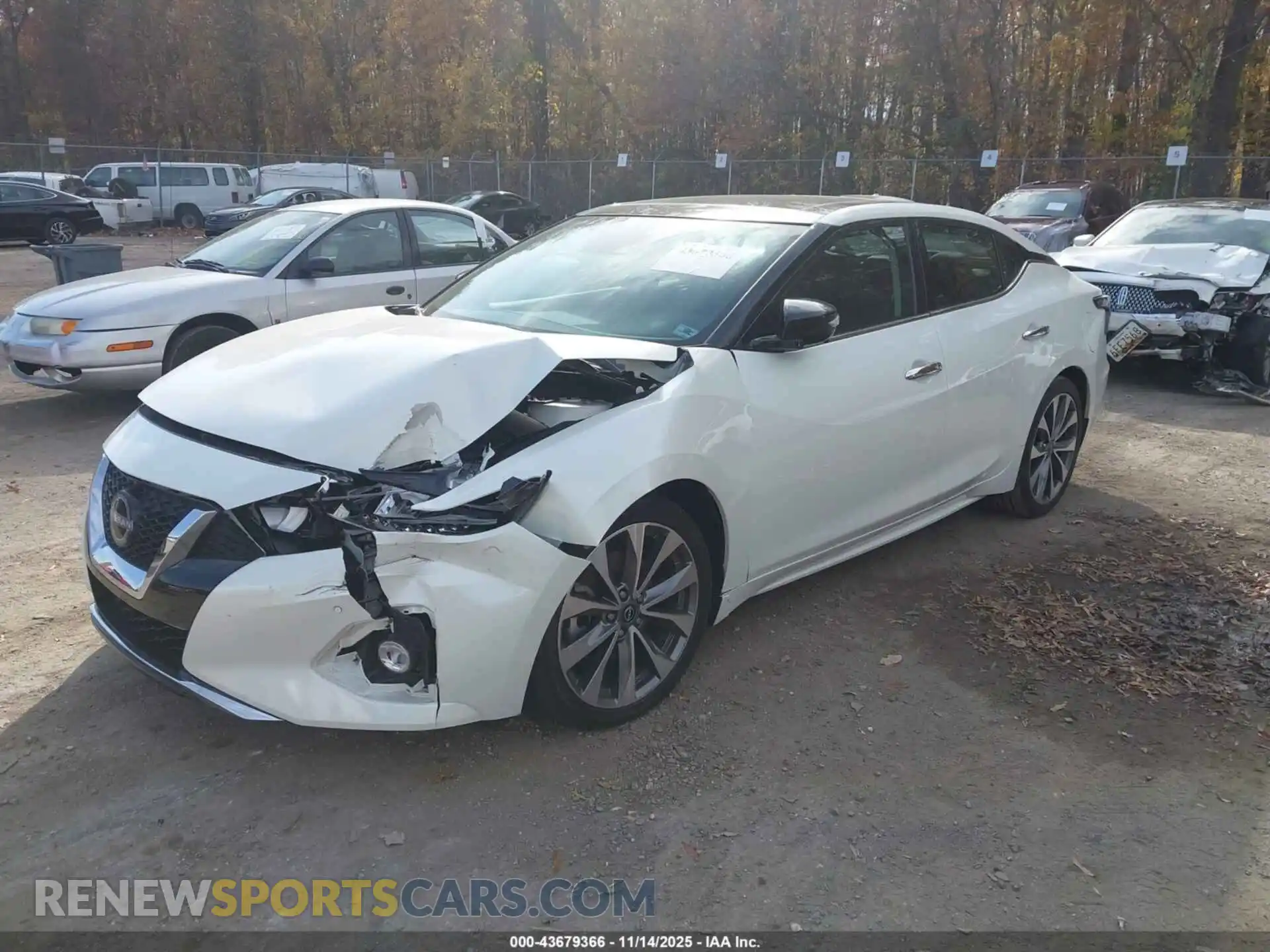 2 Photograph of a damaged car 1N4AA6FV2PC502563 NISSAN MAXIMA 2023