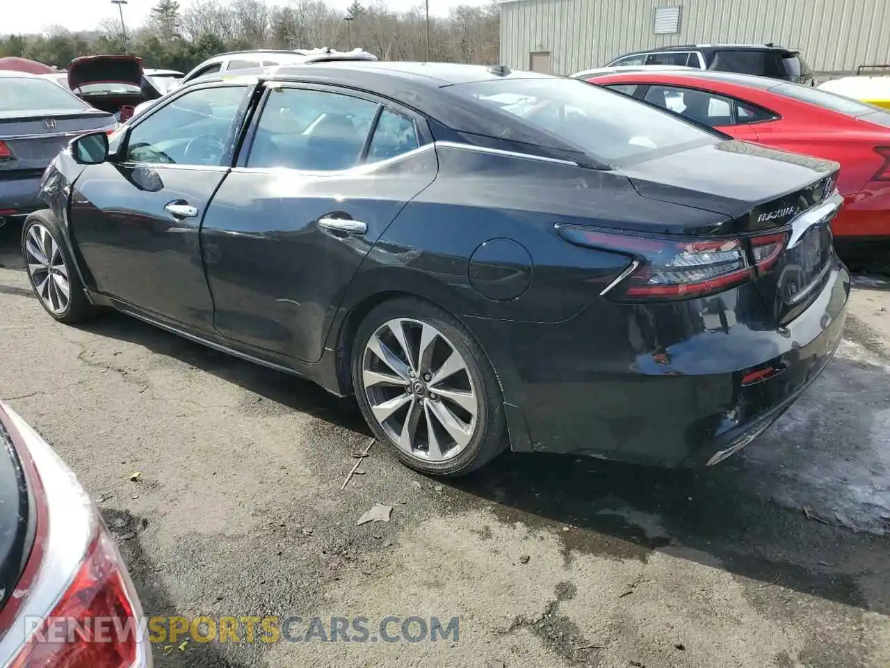 2 Photograph of a damaged car 1N4AA6FV2PC505995 NISSAN MAXIMA 2023