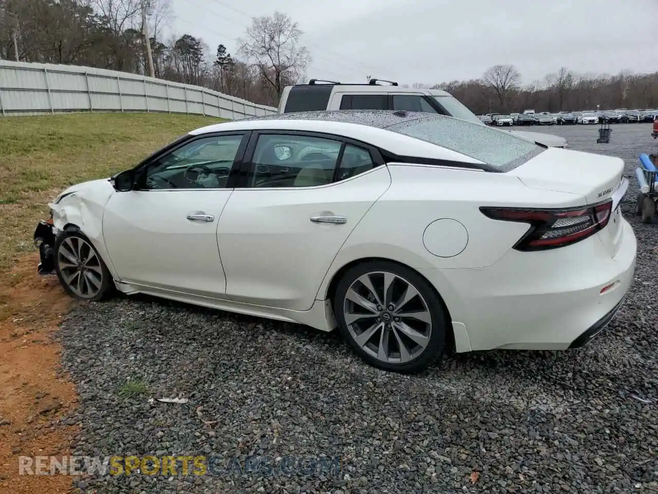 2 Photograph of a damaged car 1N4AA6FV3PC501759 NISSAN MAXIMA 2023