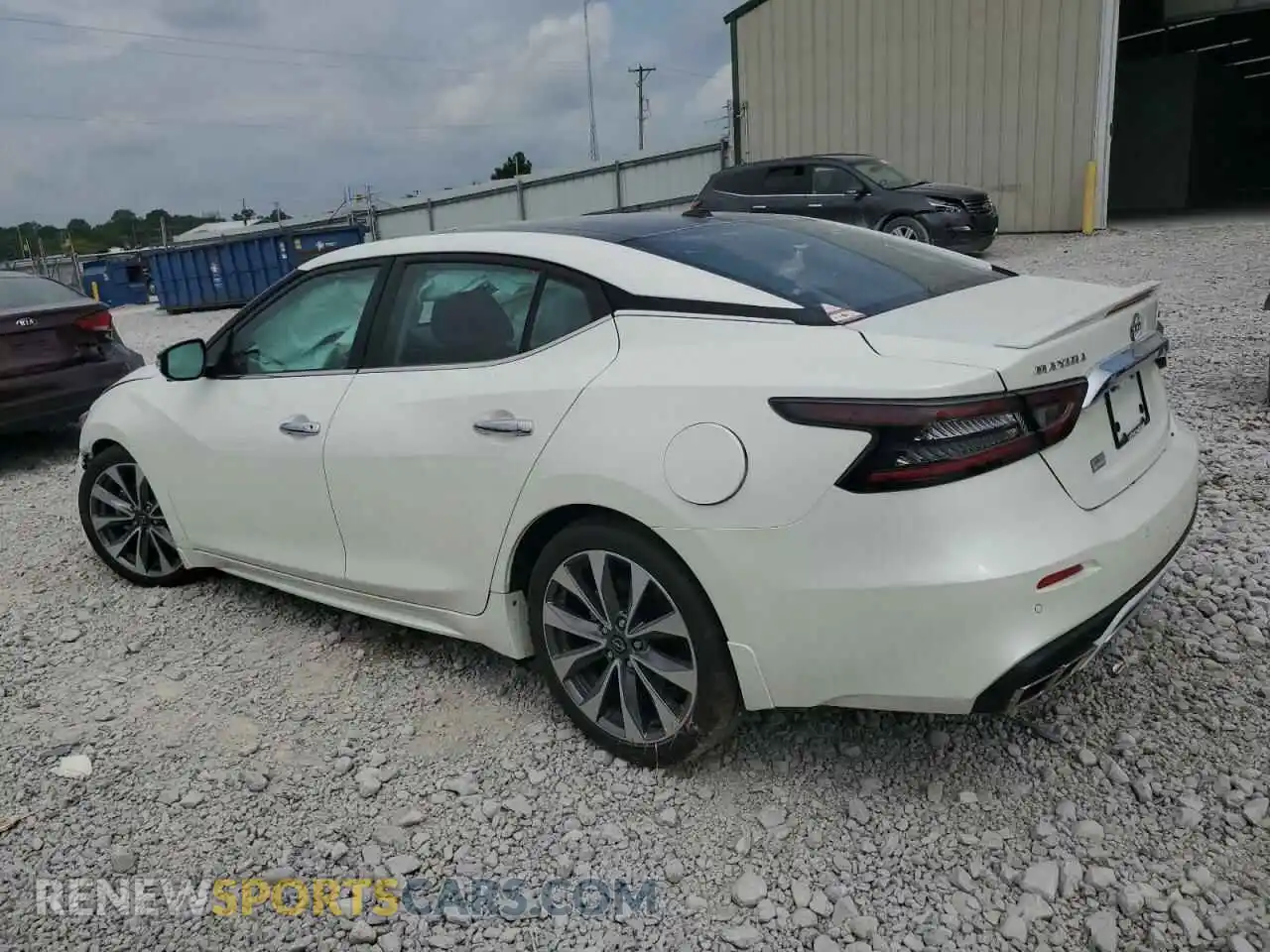 2 Photograph of a damaged car 1N4AA6FV3PC513085 NISSAN MAXIMA 2023
