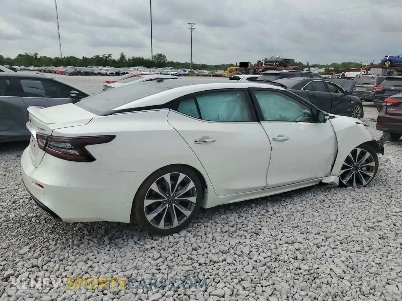 3 Photograph of a damaged car 1N4AA6FV3PC513085 NISSAN MAXIMA 2023