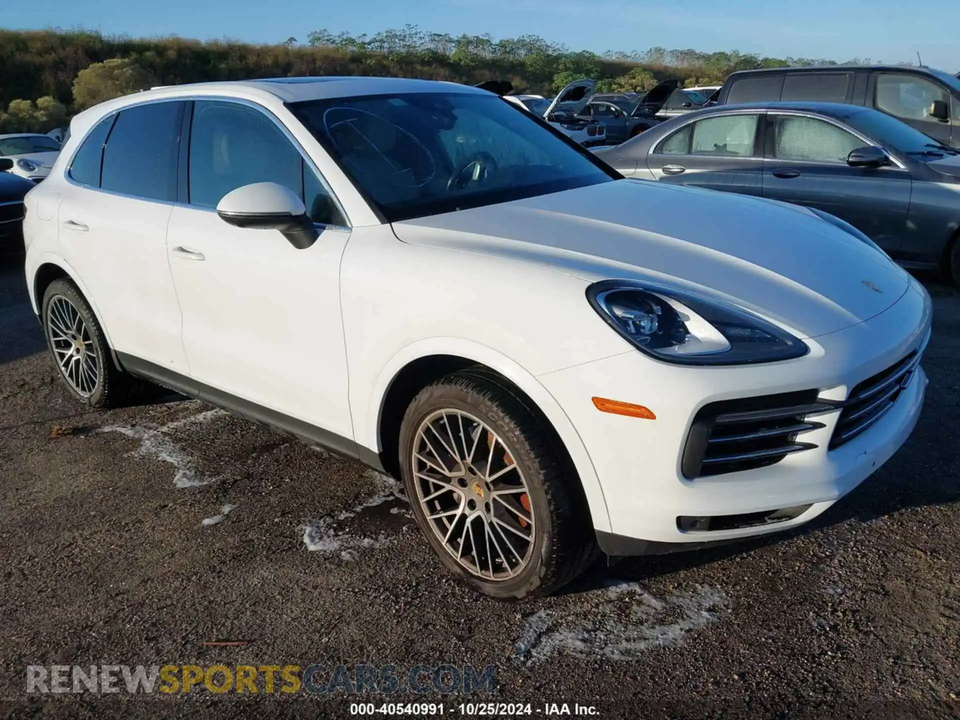 1 Photograph of a damaged car WP1AA2AY0LDA05096 PORSCHE CAYENNE 2020
