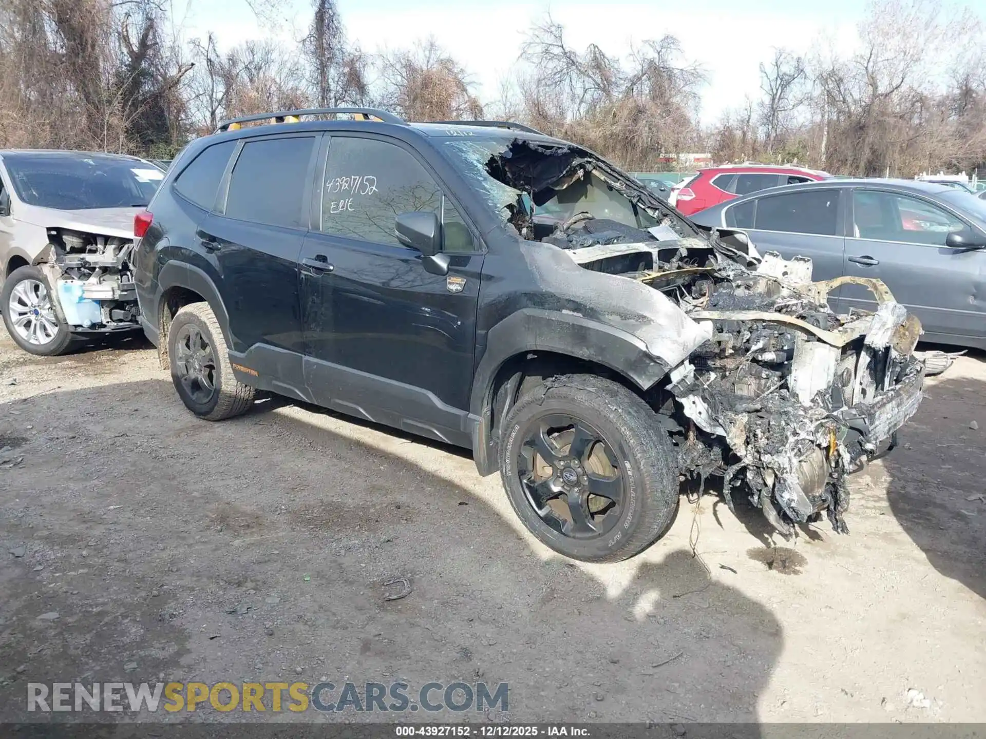 1 Photograph of a damaged car JF2SKAMC3PH429353 SUBARU FORESTER 2023