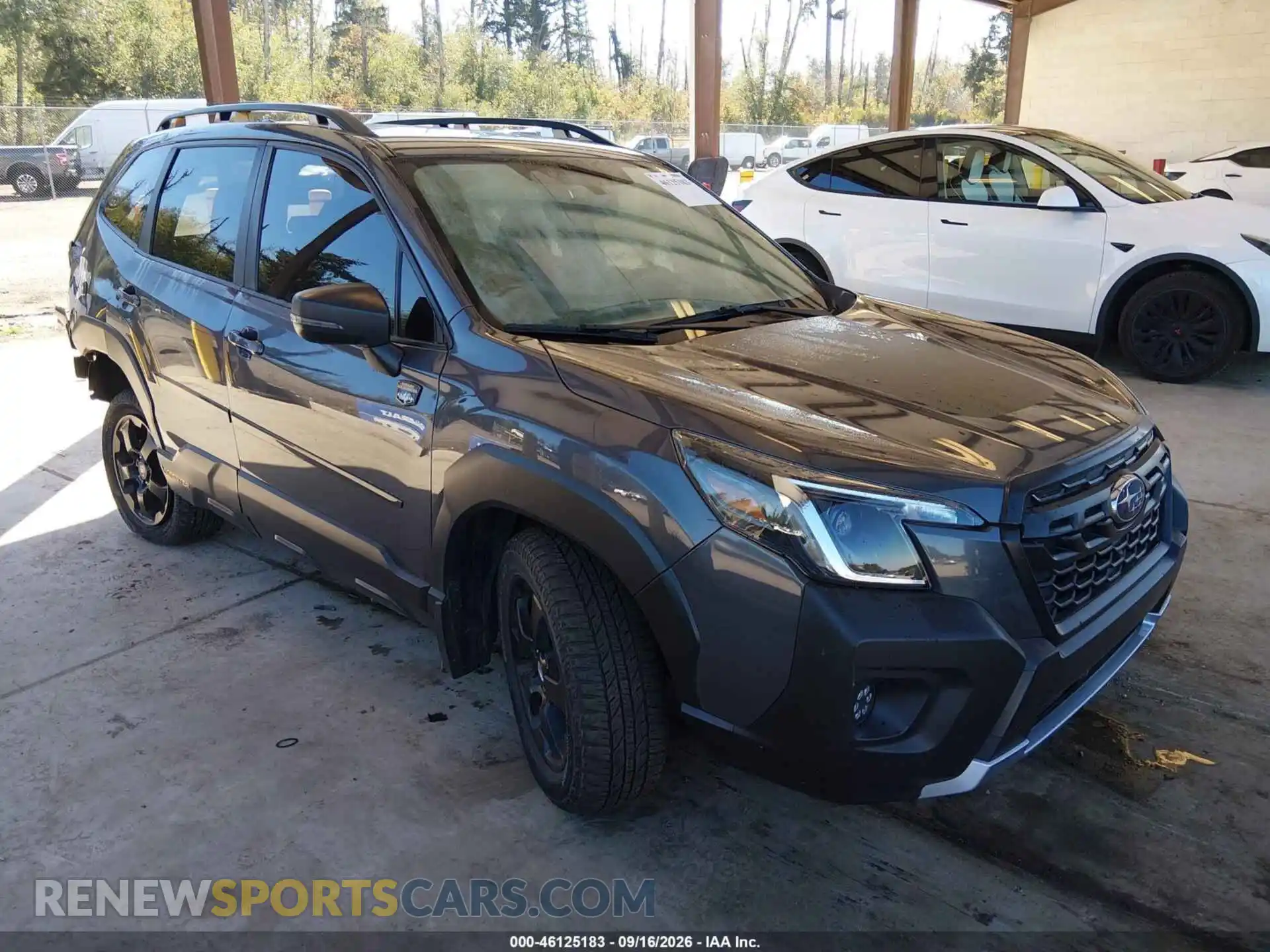 1 Photograph of a damaged car JF2SKAMC6PH436510 SUBARU FORESTER 2023