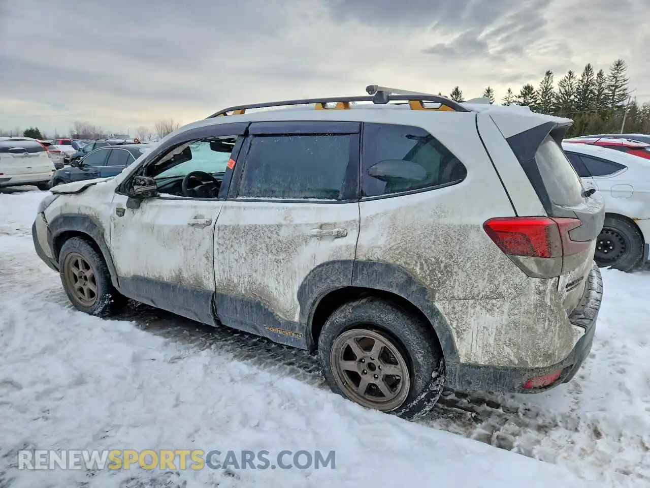 2 fotografías del automóvil dañado JF2SKELC0PH476848 SUBARU FORESTER 2023