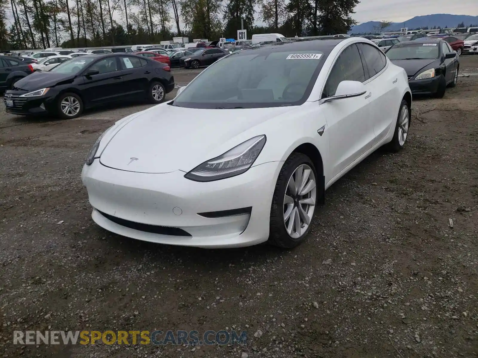 2 Photograph of a damaged car 5YJ3E1EA2KF509842 TESLA MODEL 3 2019