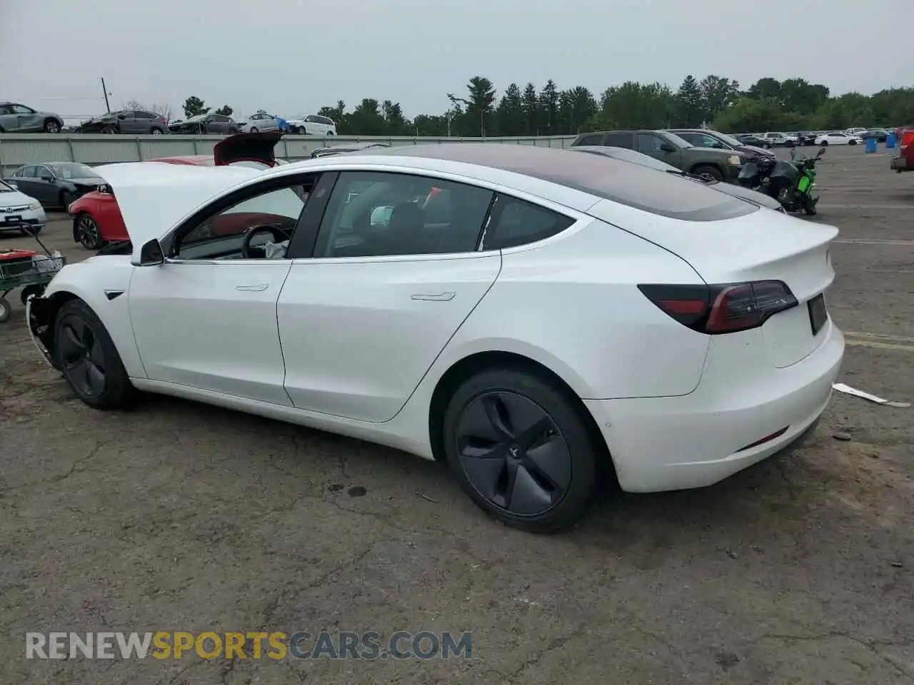 2 Photograph of a damaged car 5YJ3E1EA4KF300294 TESLA MODEL 3 2019