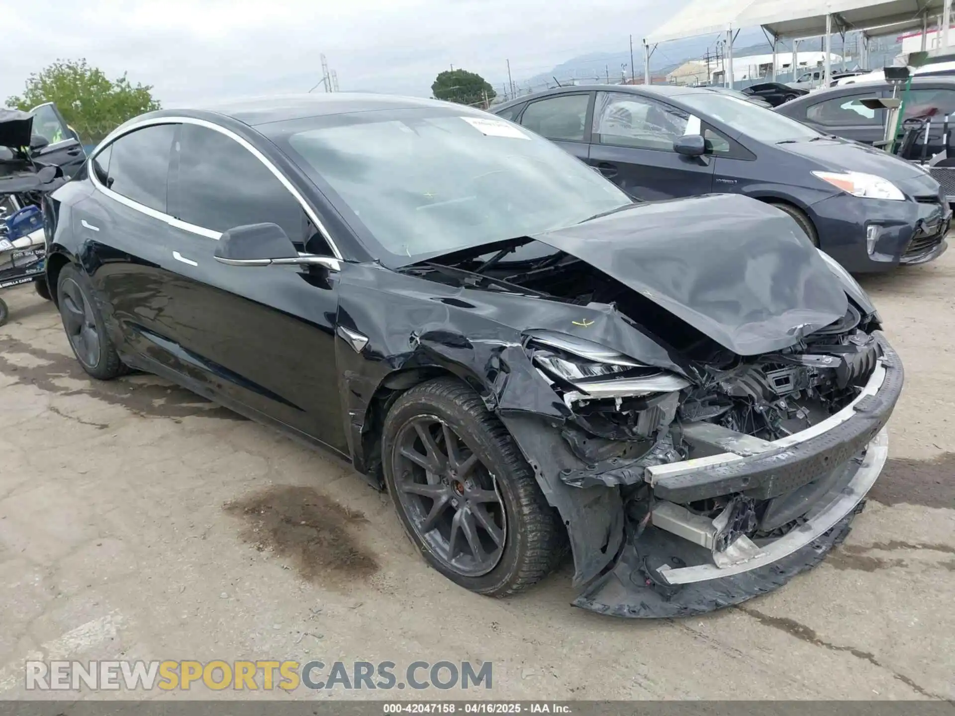 1 Фотография поврежденного автомобиля 5YJ3E1EB8LF635066 TESLA MODEL 3 2020
