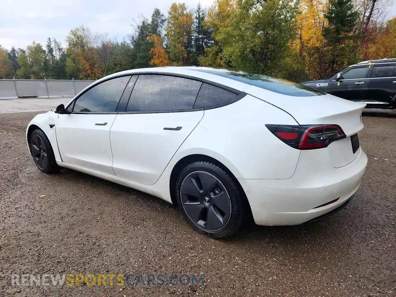 2 Photograph of a damaged car 5YJ3E1EA2MF918507 TESLA MODEL 3 2021