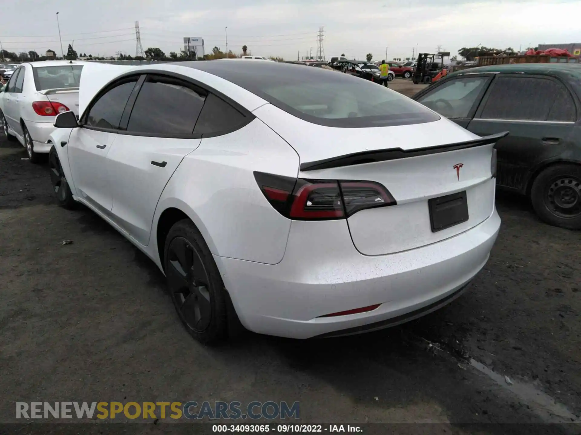 3 Photograph of a damaged car 5YJ3E1EA3MF938782 TESLA MODEL 3 2021