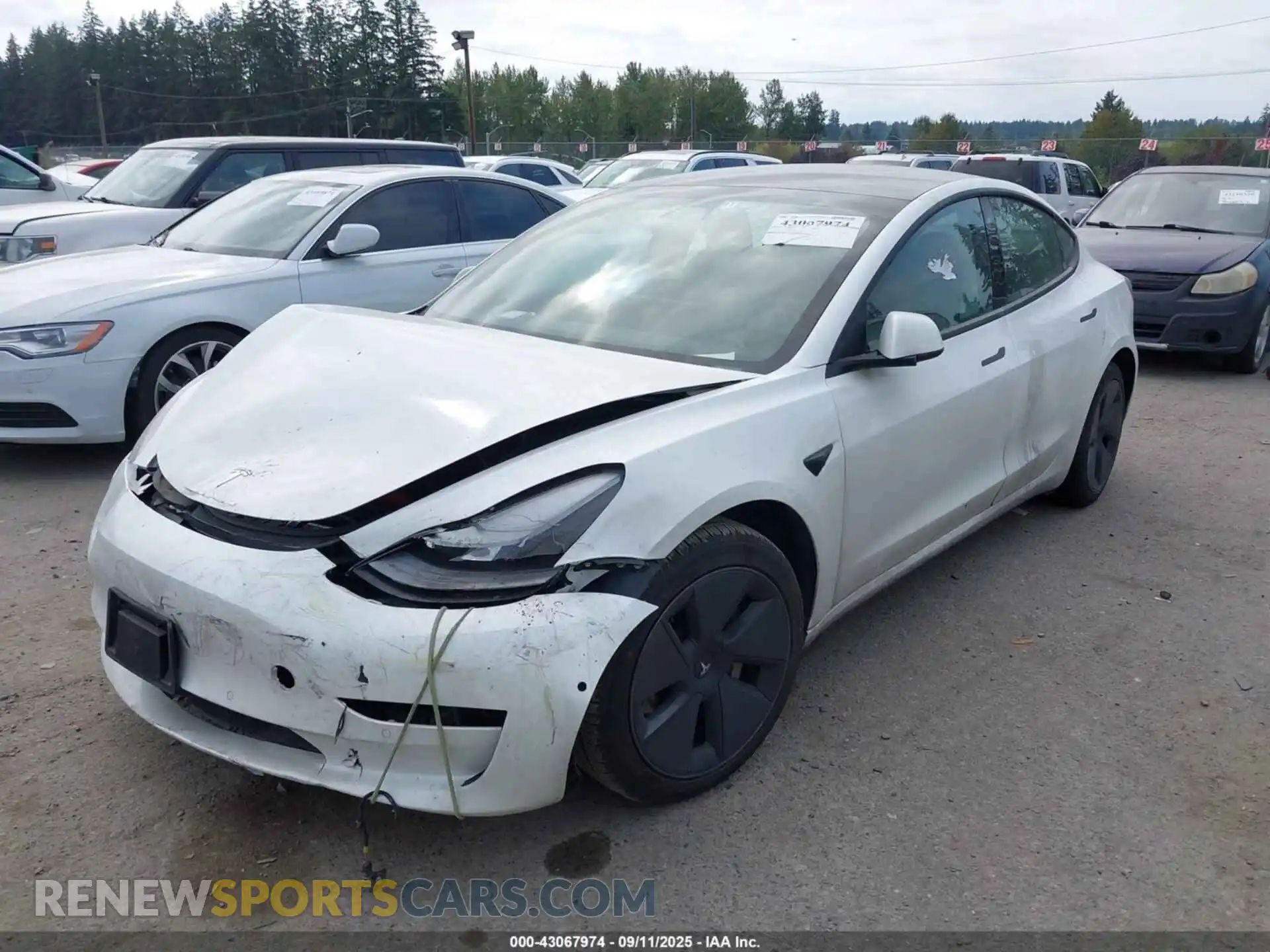 2 Photograph of a damaged car 5YJ3E1EA5MF051636 TESLA MODEL 3 2021