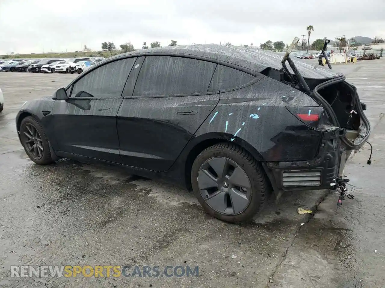 2 Photograph of a damaged car 5YJ3E1EA6MF938582 TESLA MODEL 3 2021