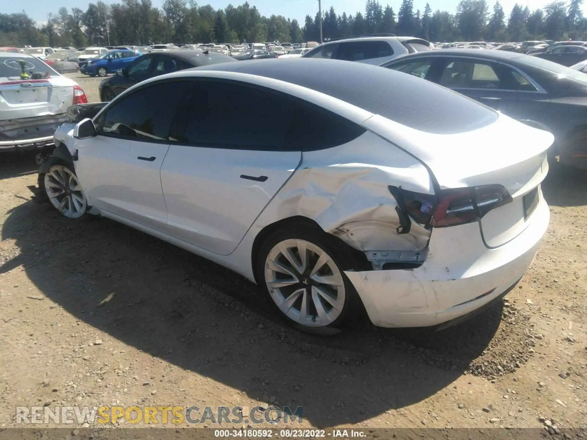 3 Photograph of a damaged car 5YJ3E1EA7MF064534 TESLA MODEL 3 2021