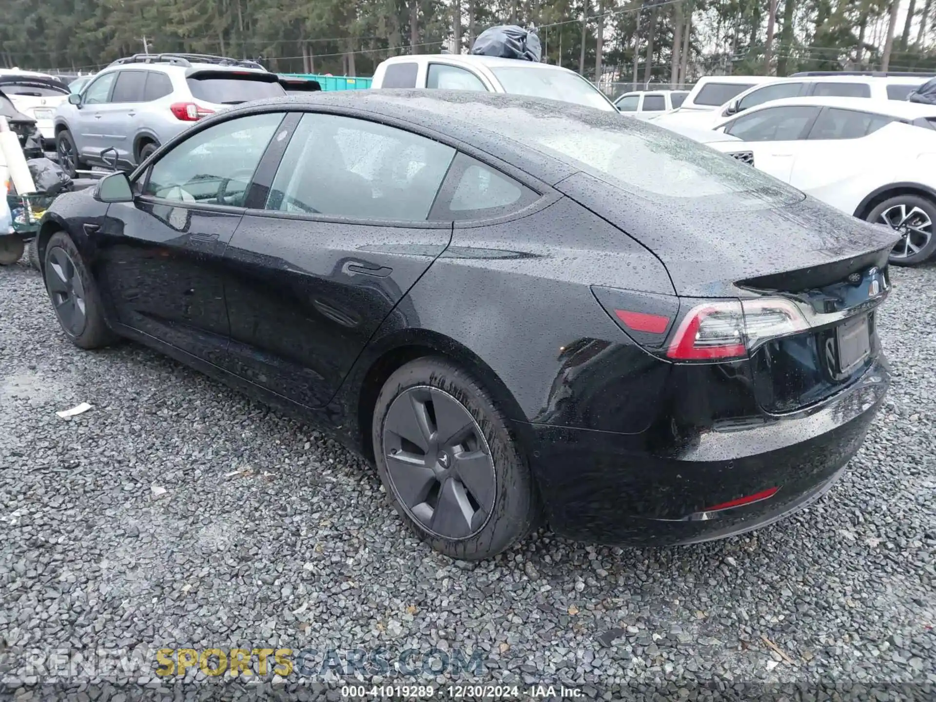 3 Photograph of a damaged car 5YJ3E1EA8MF875503 TESLA MODEL 3 2021